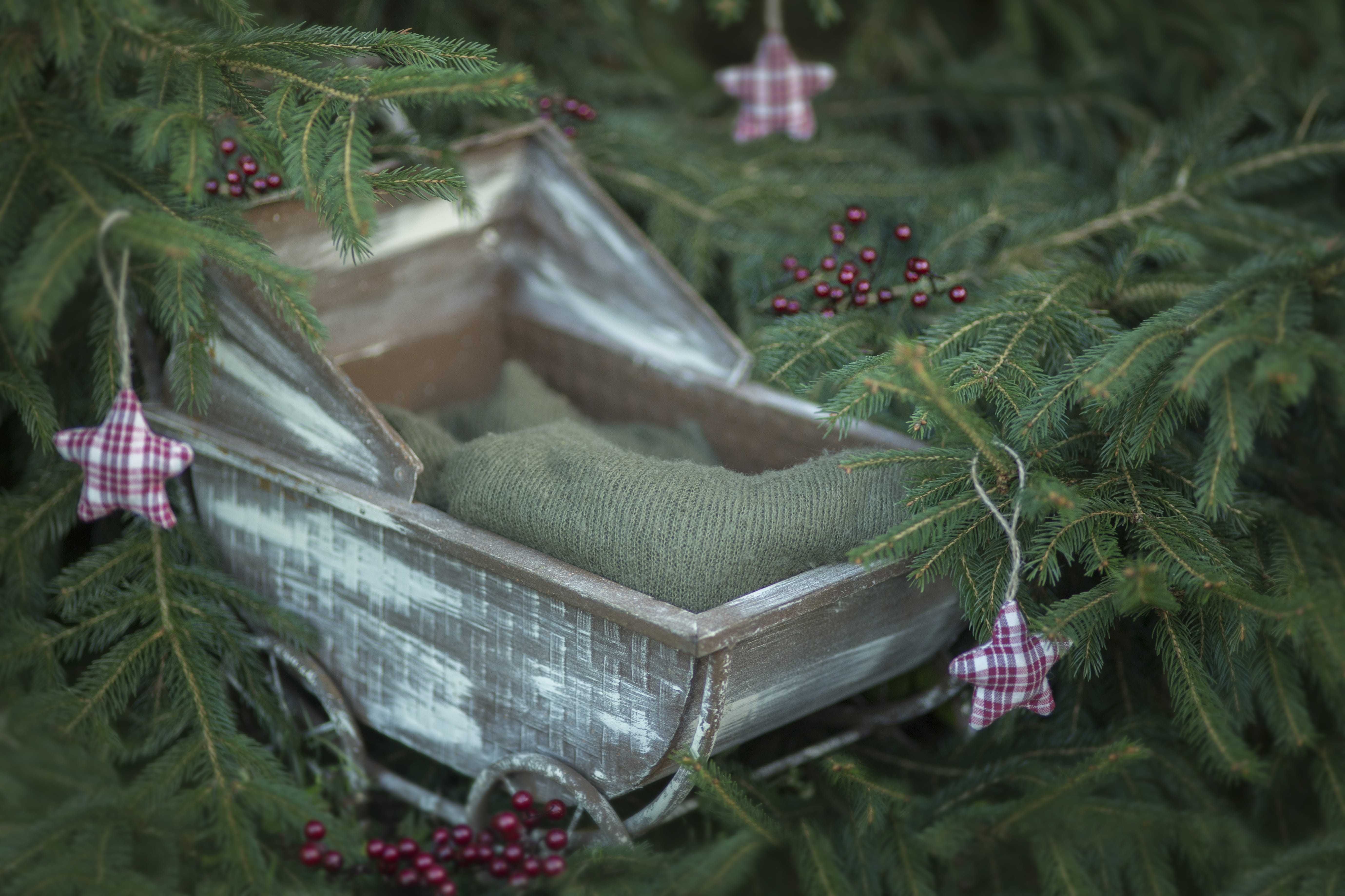 focus, digital background, pram, decoration, nature, newborn, selective focus, growth, pine, beside, flowering plant, selective, fragility, freshness, close-up, HD Wallpaper