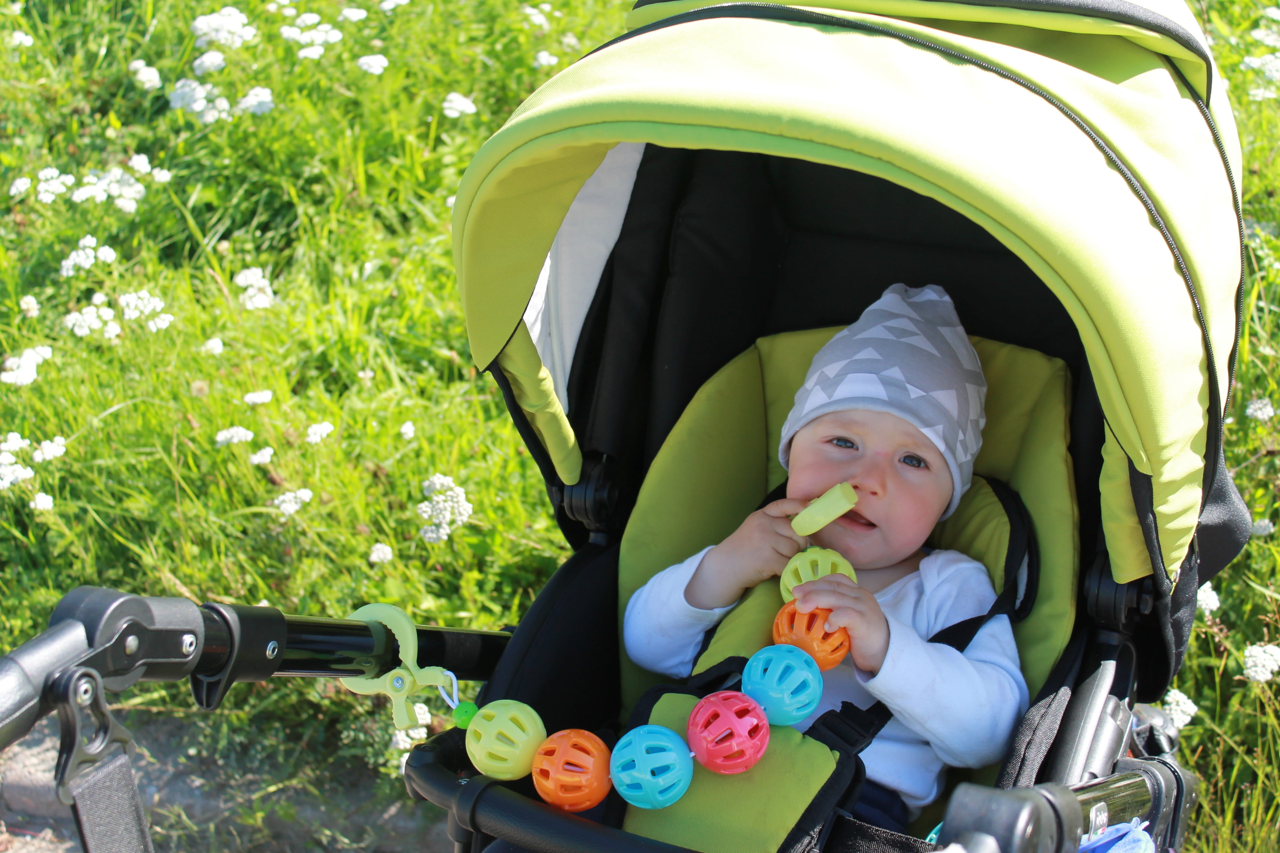 cute, nature, child, babyhood, 4K, innocence, one person, park, baby, front view, toddler, childhood, leisure activity, portrait, sunny, plant, lifestyles, HD Wallpaper