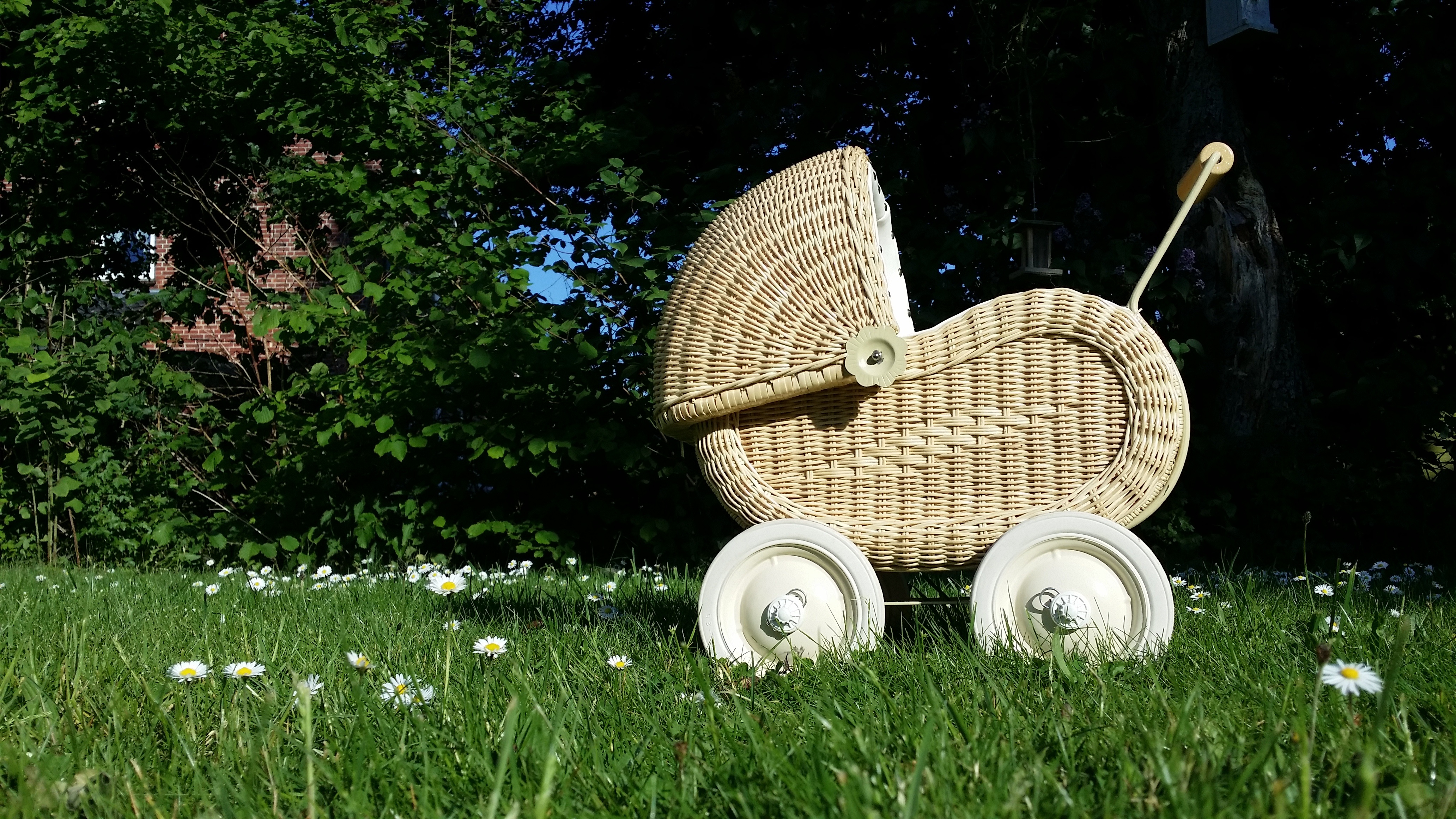 grass, 4K, tranquility, gray, daytime, gardening, no people, flower, bassinet, land, child loss, green color, field, tree, basket, woven, baby carriage, HD Wallpaper