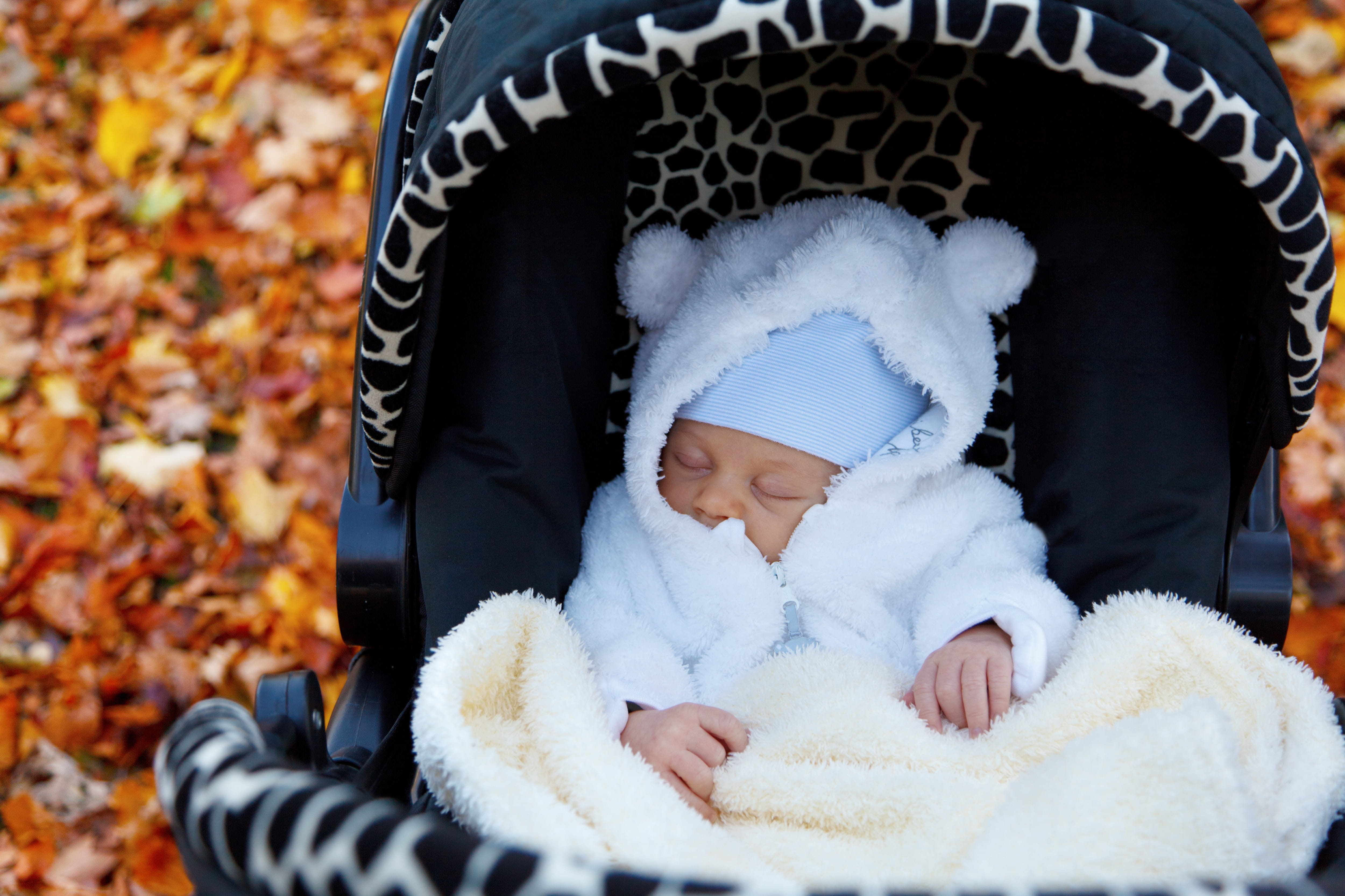 change, maple, adult, relaxation, real people, cute, clothing, stroller, kid, black, orange, young, day, park, jacket, pram, boys, buggy, 4K, knit hat, HD Wallpaper