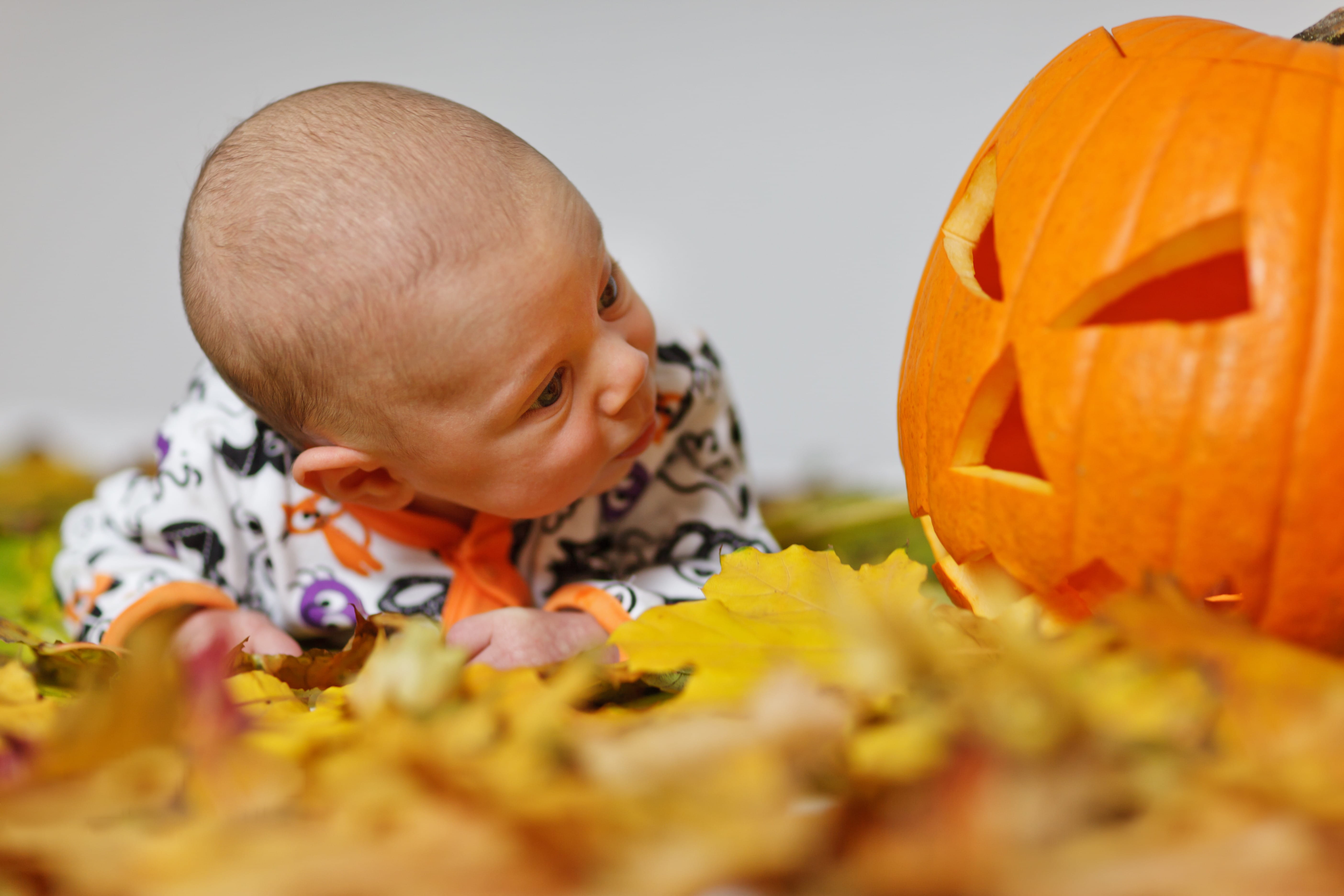 person, smiling, portrait, jack, baby, black, halloween, cheerful, jack O Lantern, indoors, leaf, color Image, sleeved, cute, white, dress, colored, caucasian Ethnicity, HD Wallpaper