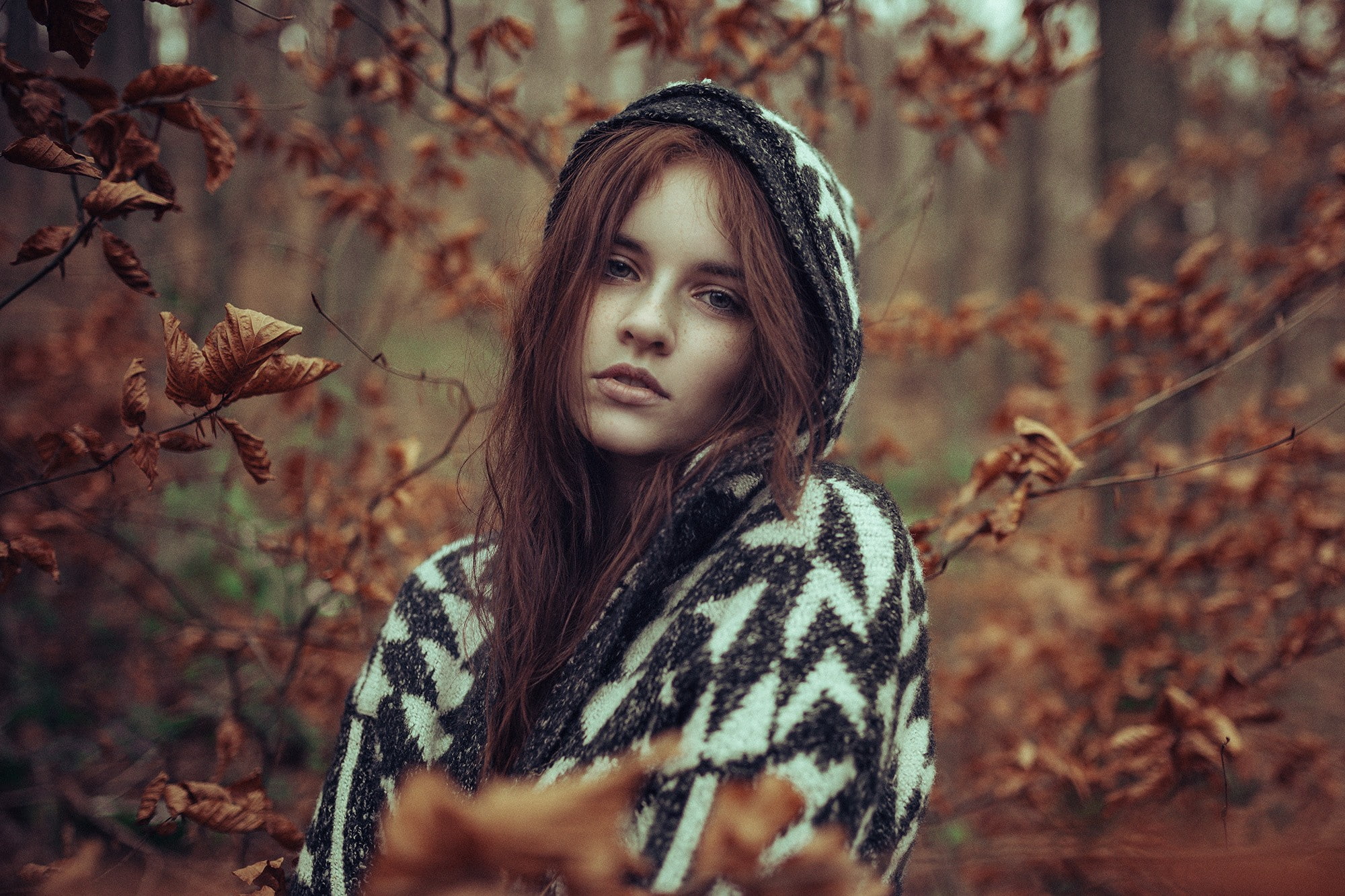depth of field, fall, leaves, freckles, sweater, branch, women outdoors, nature, open mouth, looking at viewer, trees, redhead, model, women, long hair, HD Wallpaper