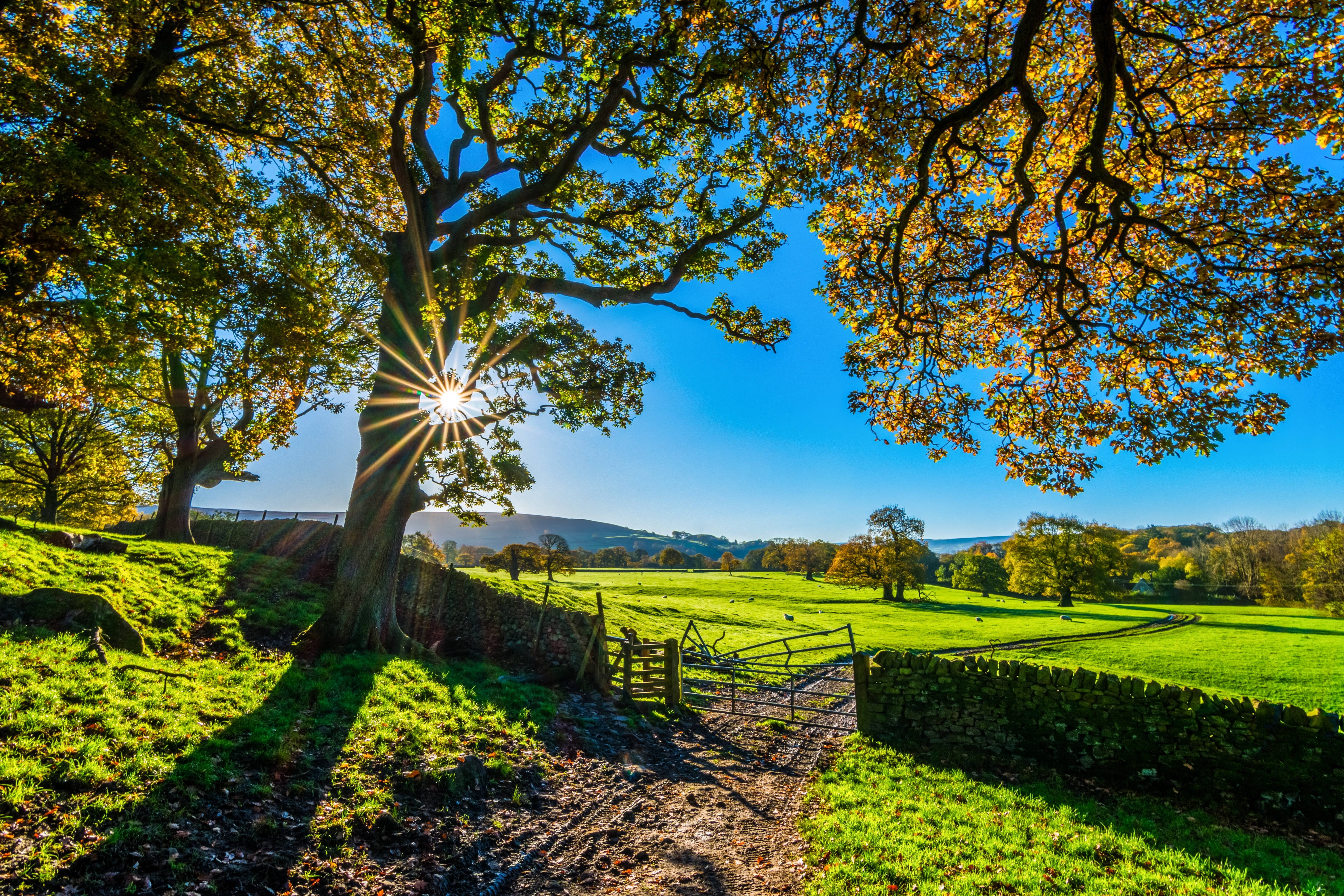 yorkshire, 5K, sunshine, sunlight, morning, autumn, HD Wallpaper