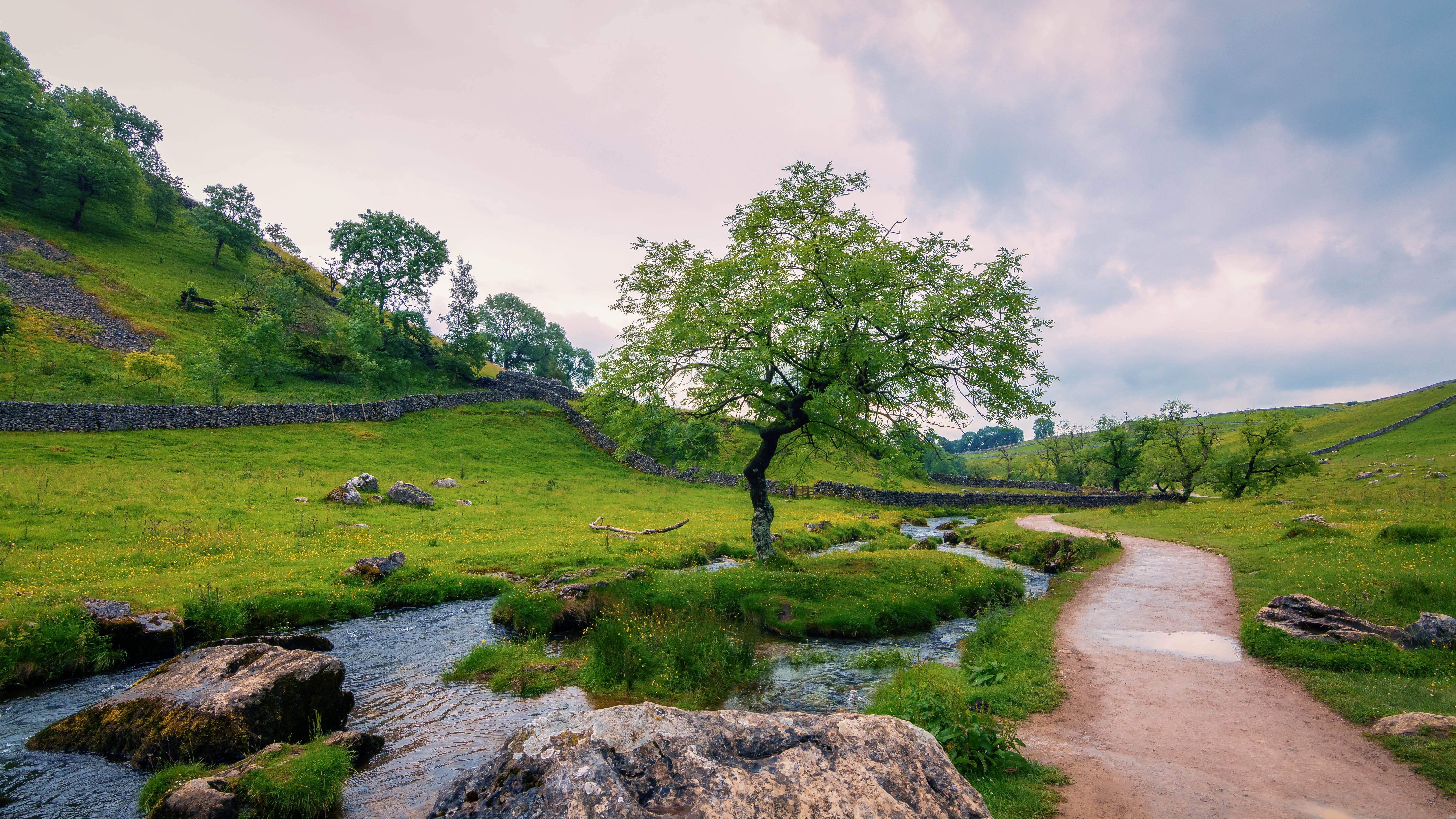 malham, dry stone wall, cloud - sky, beauty spot, scenics - nature, rocks, clouds, green, water, spring, tree, footpath, environment, stream, lone tree, HD Wallpaper