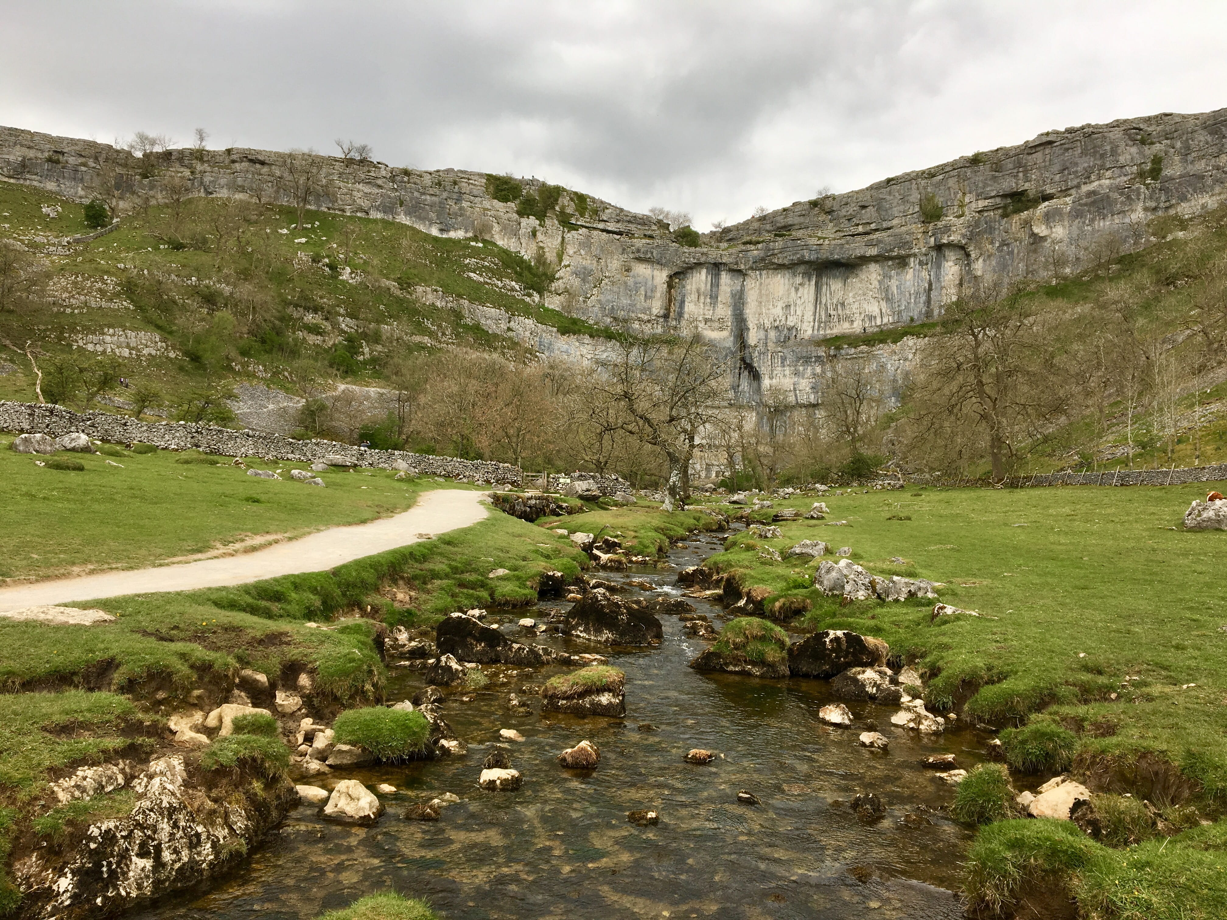 mountain, no people, ground, water, malham cove, tranquil scene, tranquility, bird, grassland, rock, stream, uk, non-urban scene, grass, creek, animal, HD Wallpaper