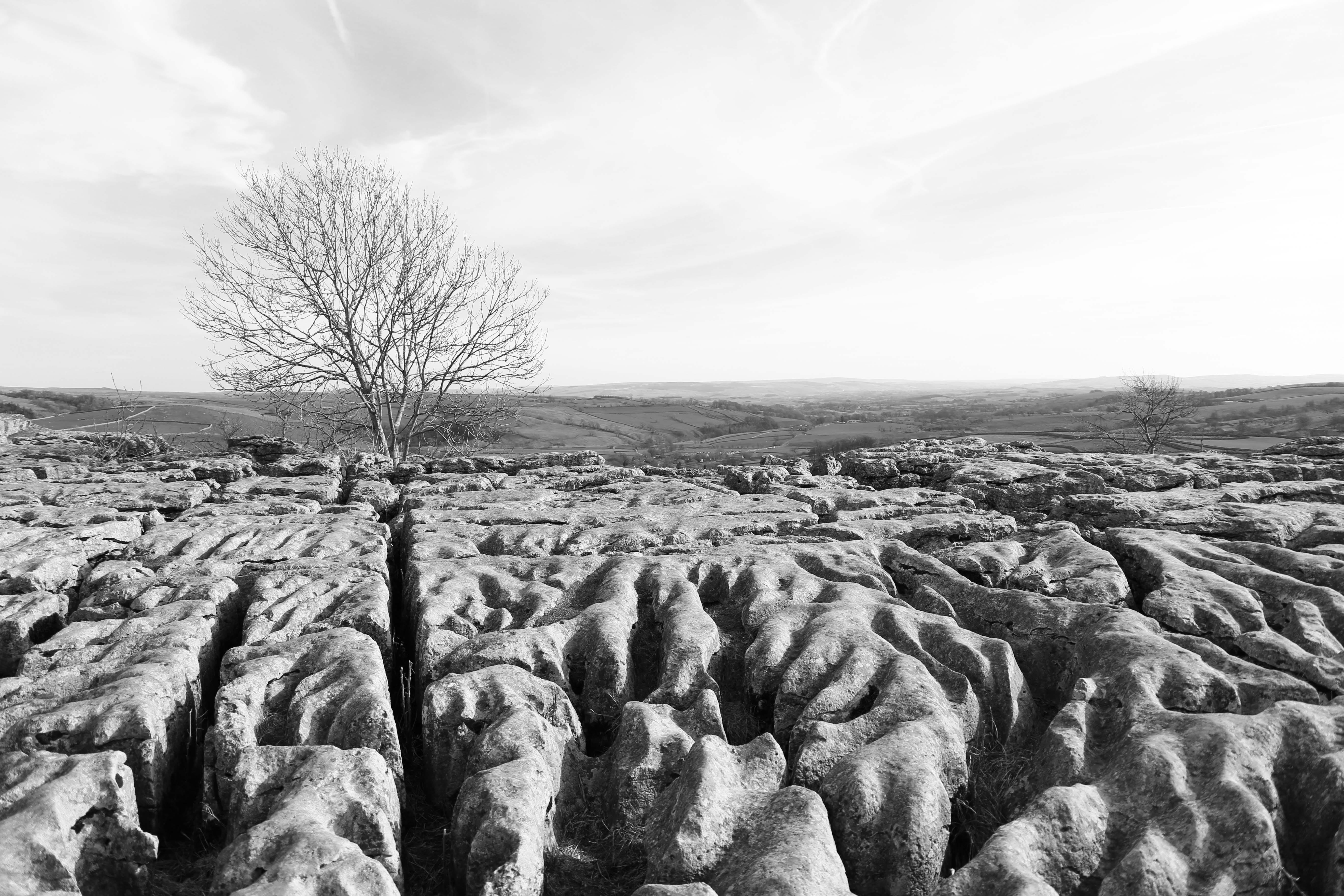 landscape, limestone, environment, tranquil scene, arid climate, plant, remote, beauty in nature, nature, land, no people, solid, bare tree, field, cloud - sky, HD Wallpaper