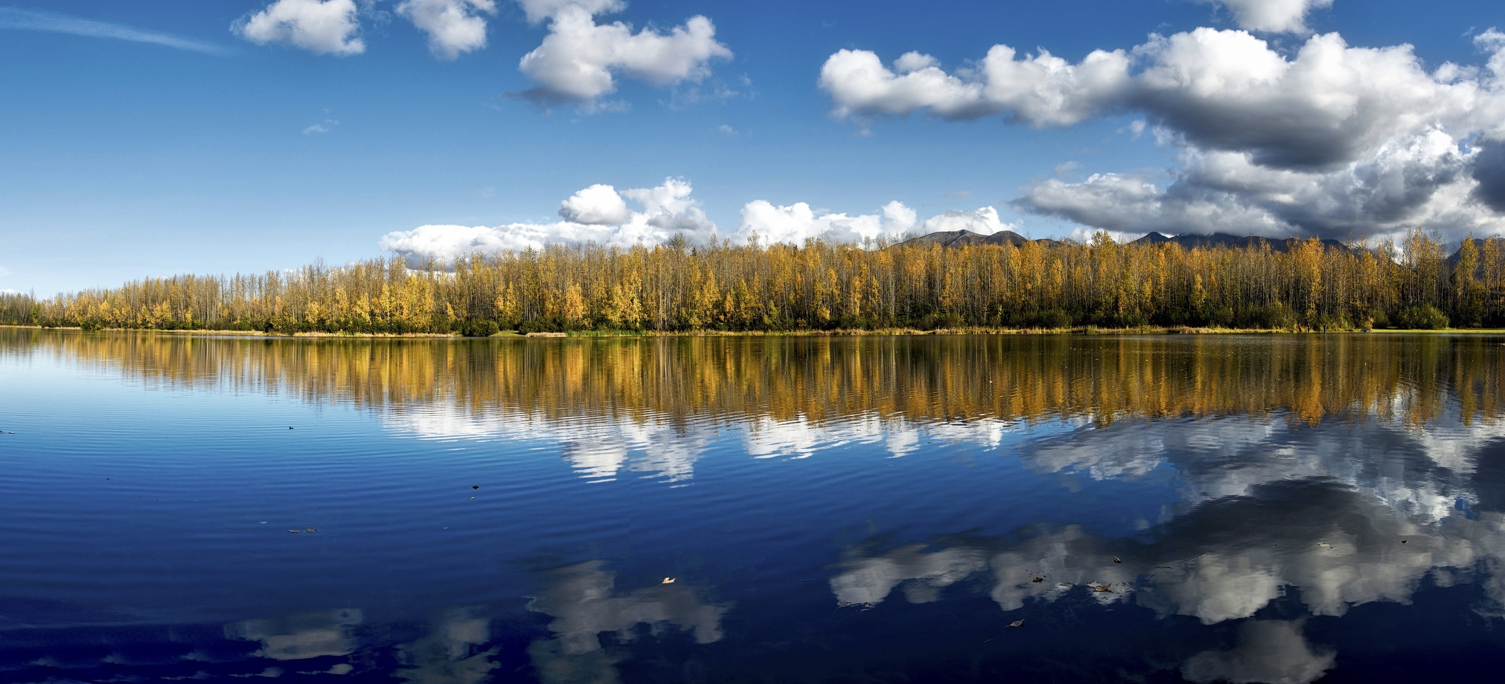 beauty in nature, alaska, reflection, plant, cloud - sky, clouds, nature, reflection lake, cheney lake, outdoors, day, water, tranquil, land, colorful, HD Wallpaper