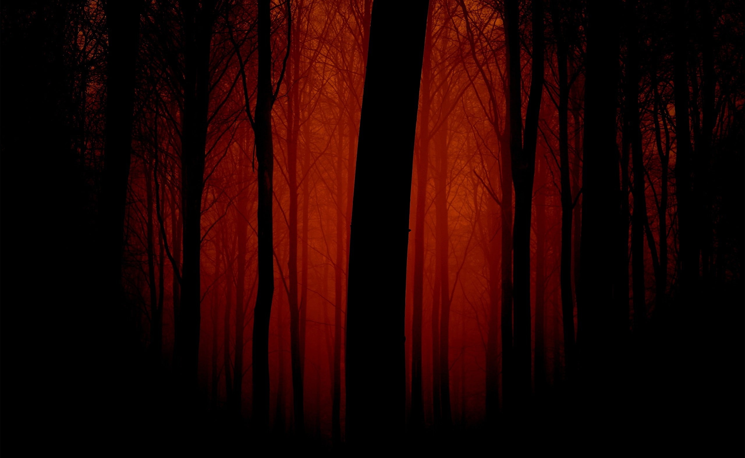 digital, arts culture and entertainment, Bloody, shadow, no people, single object, trees, Nature, 2K, curtain, performance, studio shot, textile, stage, HD Wallpaper