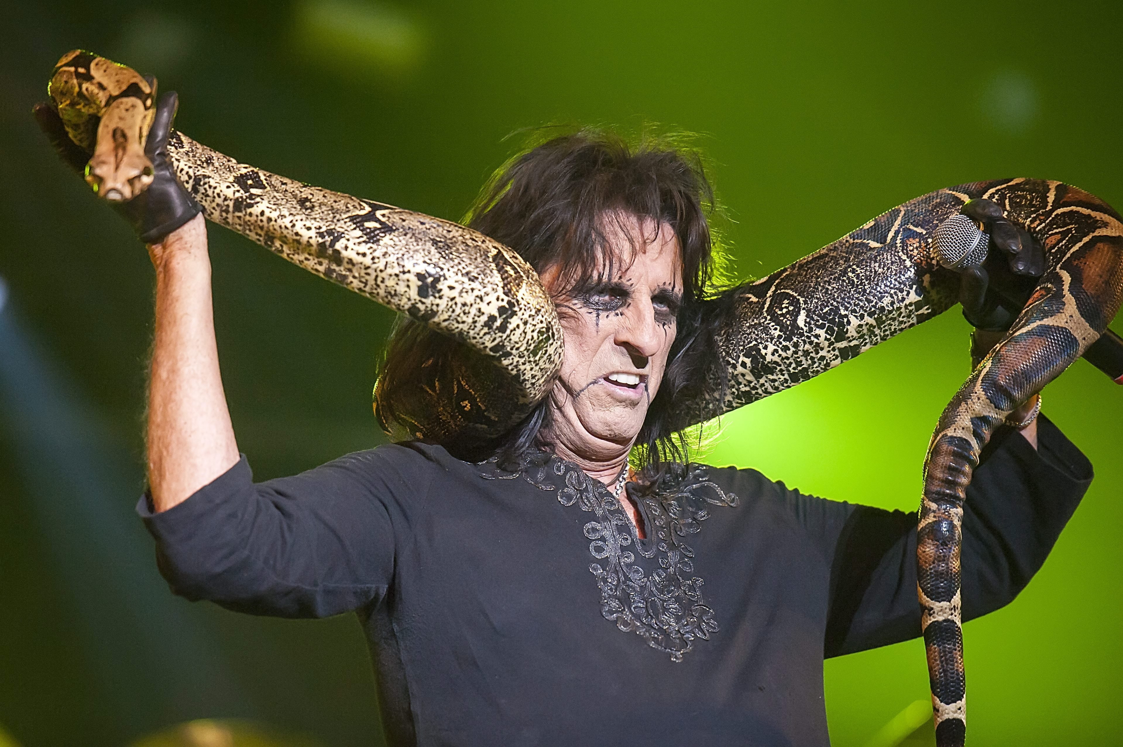 alice, rock, 2K, hard, heavy, cooper, metal, HD Wallpaper