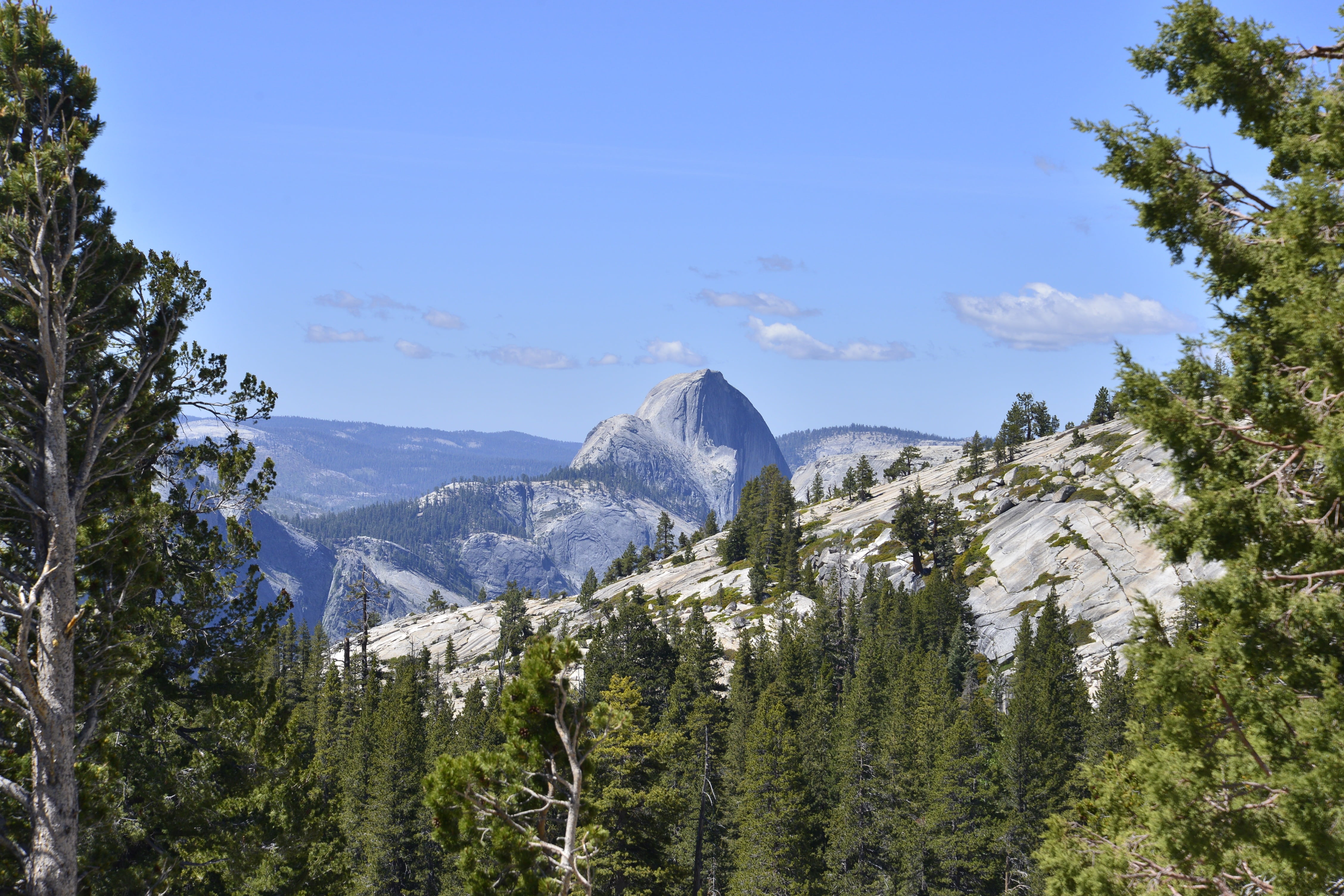 idyllic, elevation, tourism, grand, huge, growth, boulders, beauty in nature, gigantic, america, jagged, plateau, wooded, snowcapped mountain, rugged, yosemite, HD Wallpaper