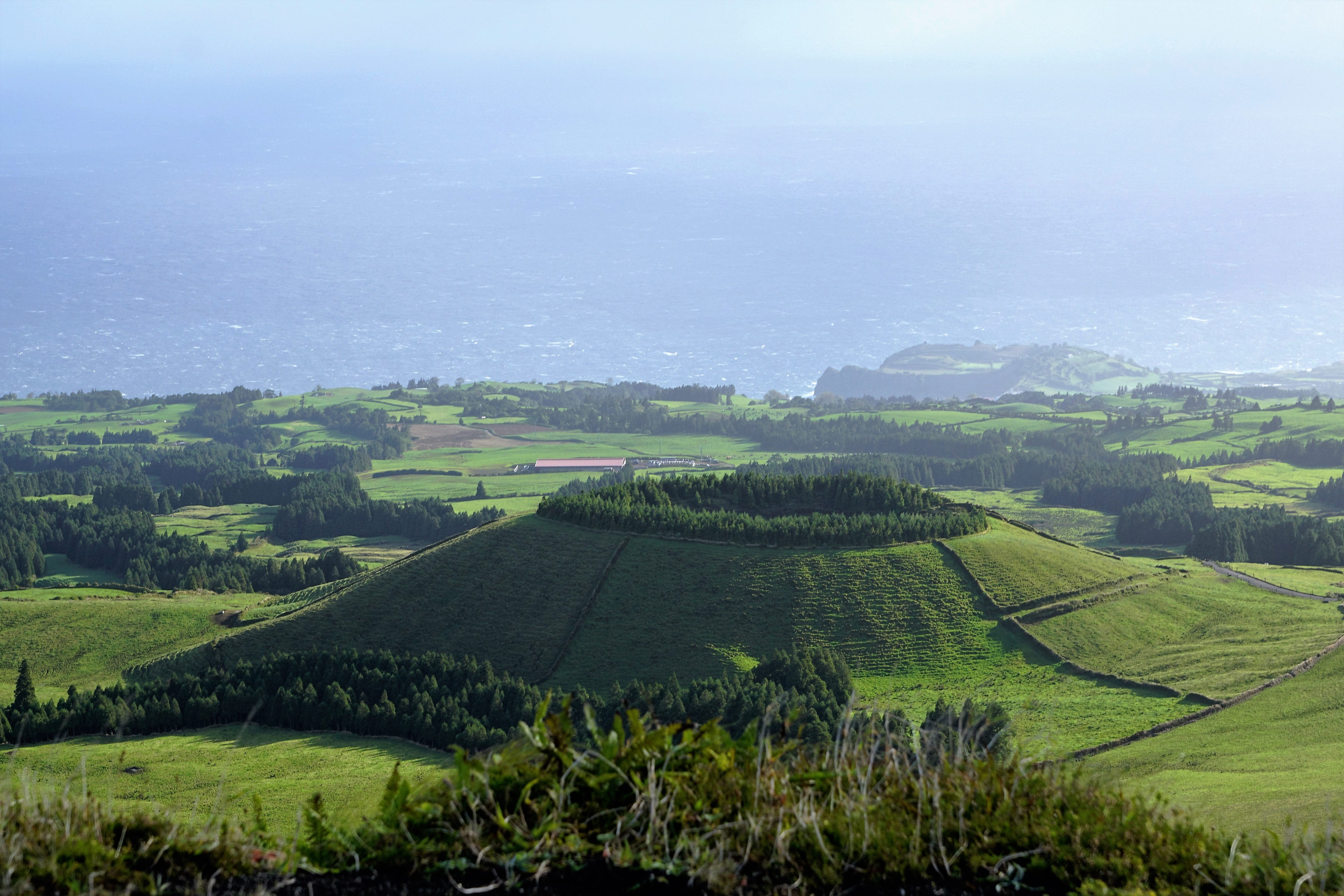 transatlantic, tranquility, climb, vacations, hill, descent, season, mirror, azores, relaxation, exit, meadow, growth, sky, atlantic, tea crop, tourism, HD Wallpaper