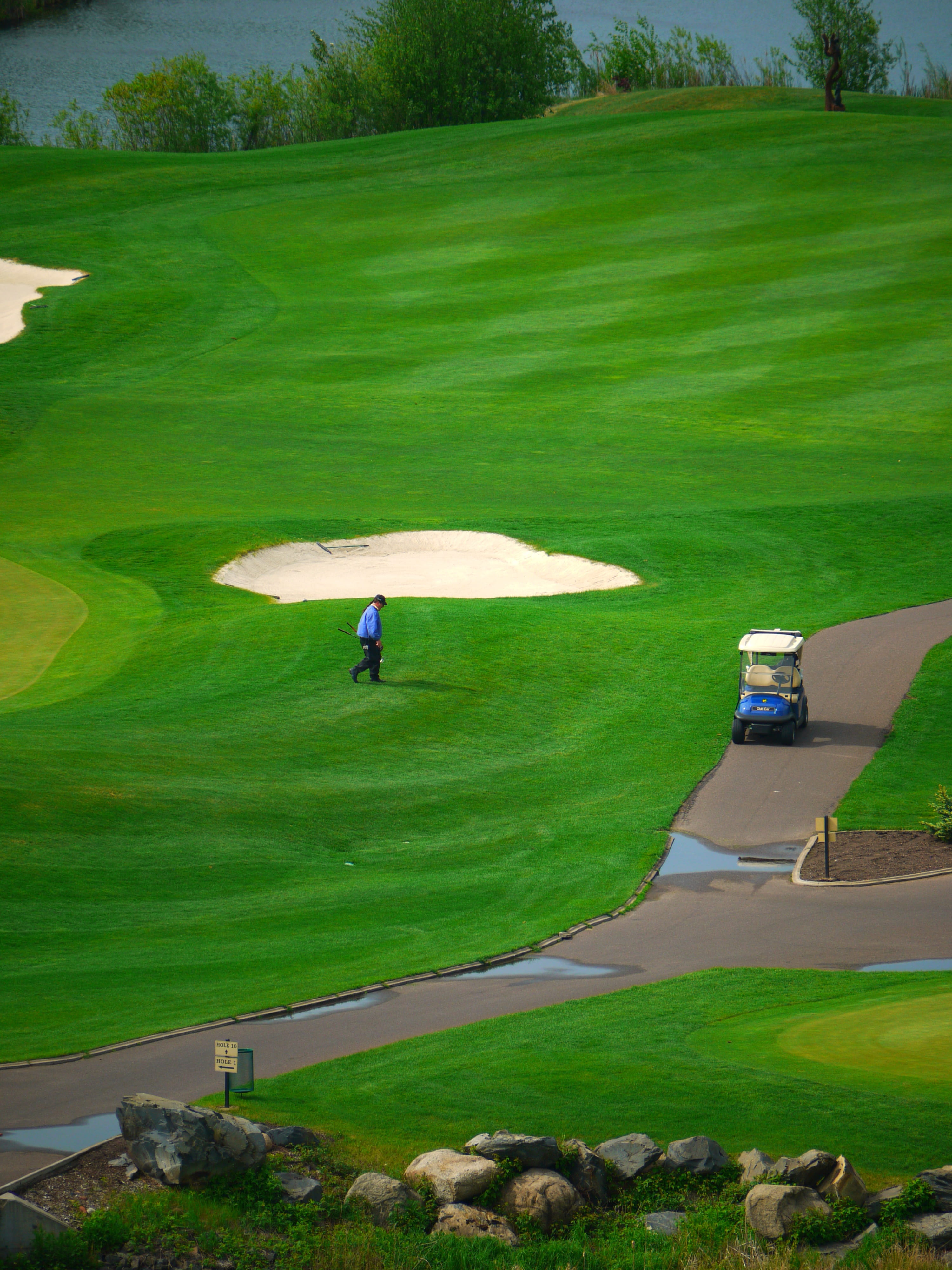 green color, green - golf course, day, real people, tree, golf club, Green, one person, sport, Sand Trap, one man only, 4K, land, Cart, high angle view, Phone HD Wallpaper