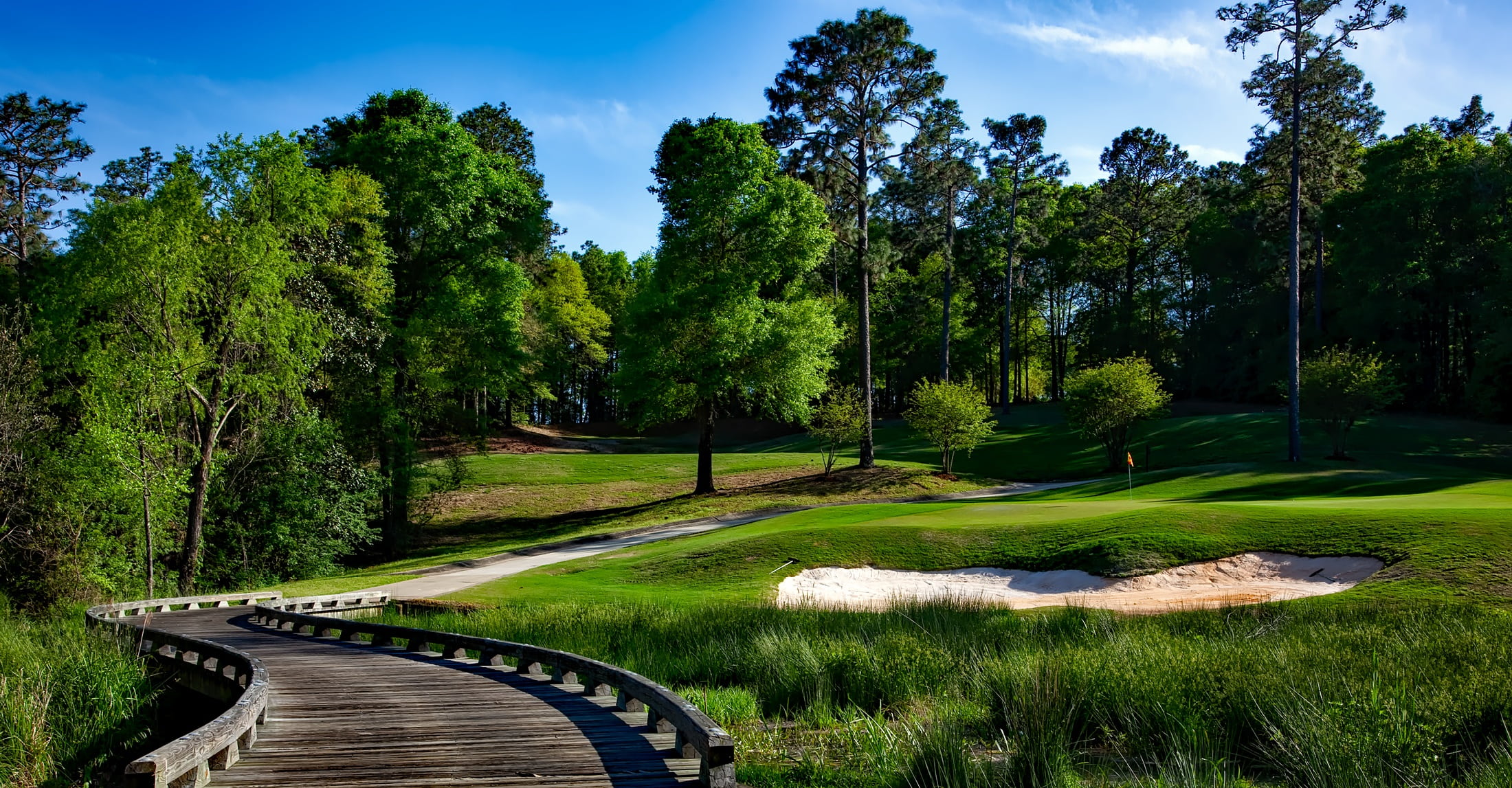tree, field, alabama, no people, green Color, vacation, growth, grass, bridge, cloudy, daytime, tranquil scene, summer, land, golfing, landscape, near, HD Wallpaper