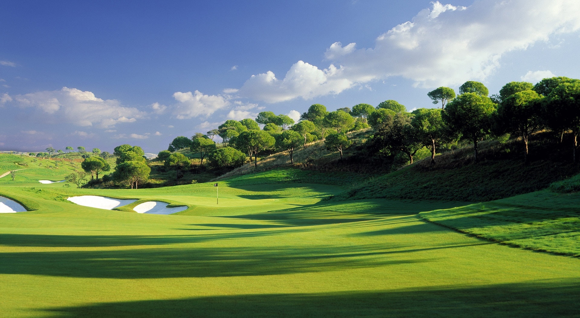 grass, Sports, flag, land, leisure activity, scenics - nature, activity, trees, 1080P, no people, plant, water, sport, cloud - sky, Course, green color, HD Wallpaper