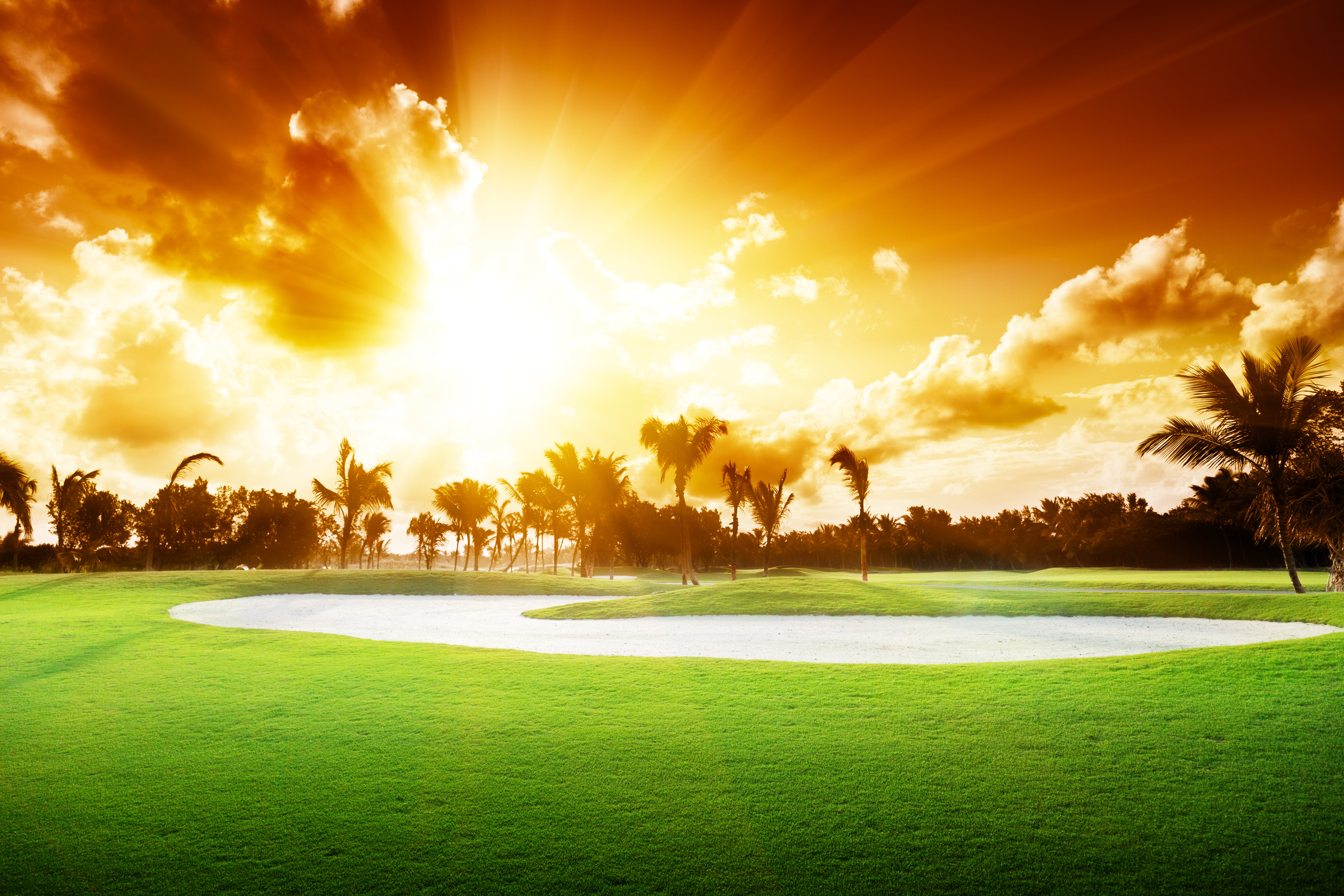 beautiful, summer, relaxation, vacations, scenics - nature, the sky, sea, 5K, lawn, playing field, tree, sand, sunset, tourist Resort, landscape, putting Green, HD Wallpaper