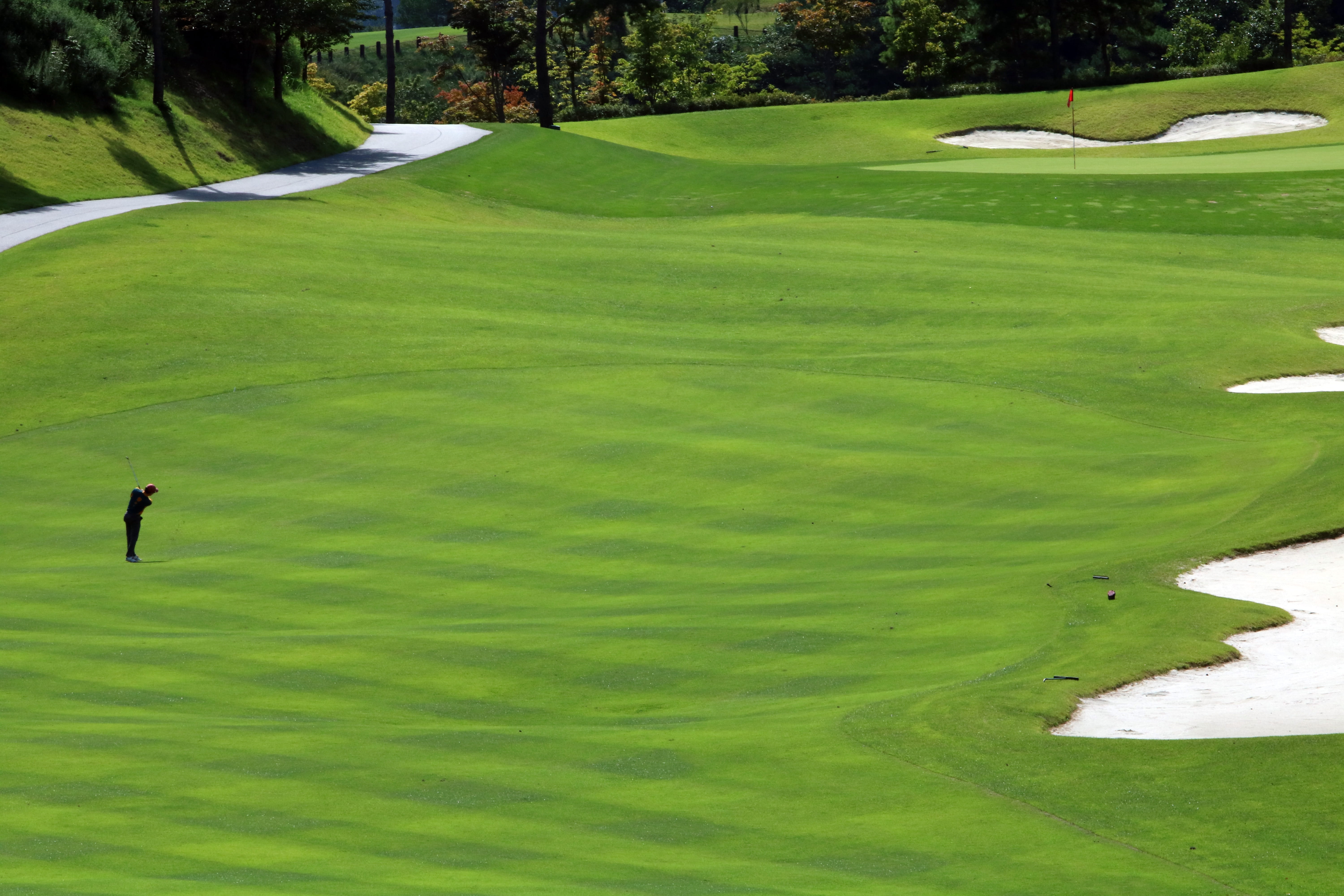 landscape, 5K, nature, field, aerial view, green - golf course, lake, grass, sport, water, golf course, activity, green, tree, plant, green color, outdoors, HD Wallpaper