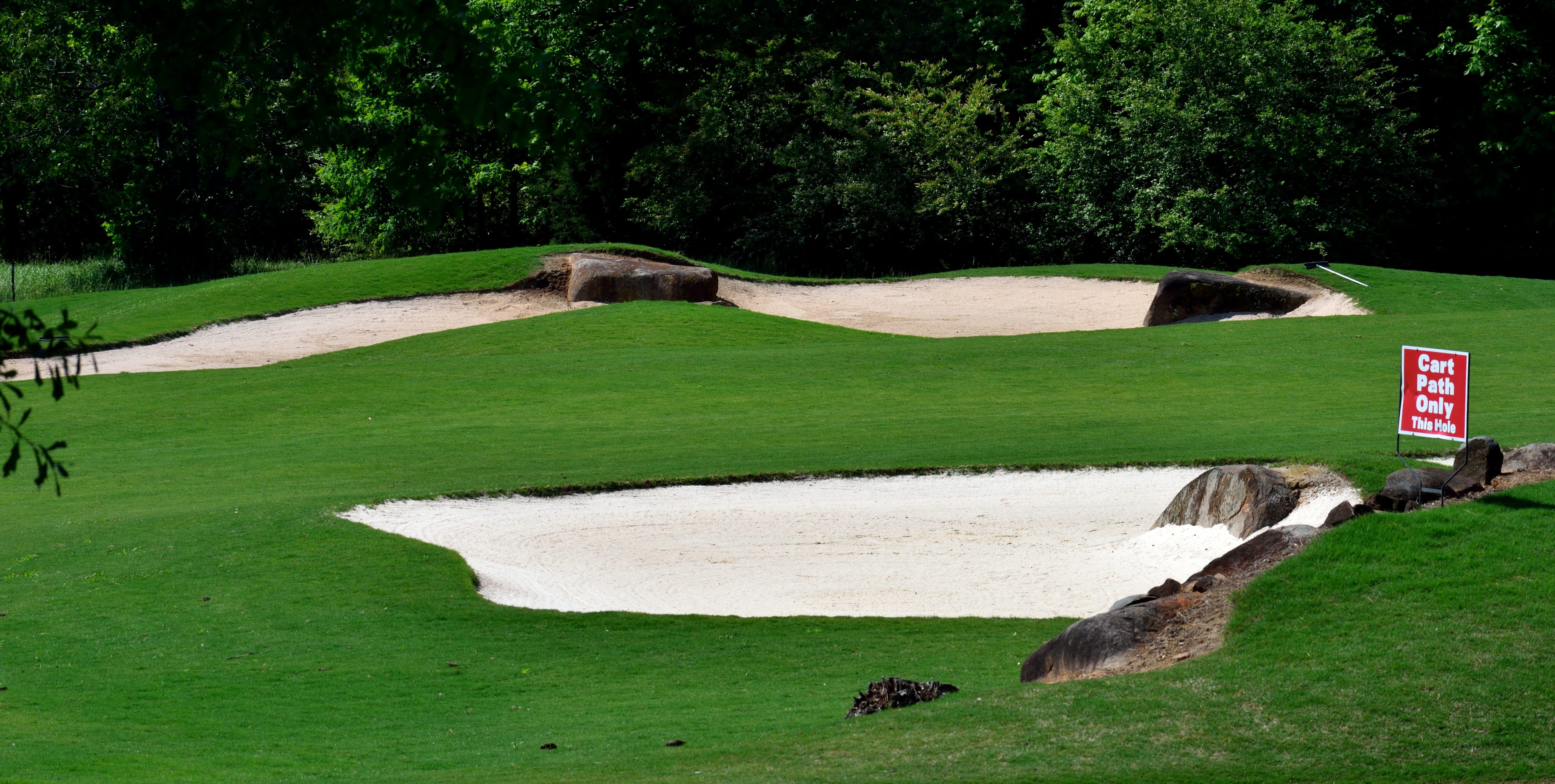 trap, play, day, game, course, landscape, greens, hole, ball, leisure activity, sand, competition, golfing, plant, field, tree, shadow, sand trap, leisure, HD Wallpaper