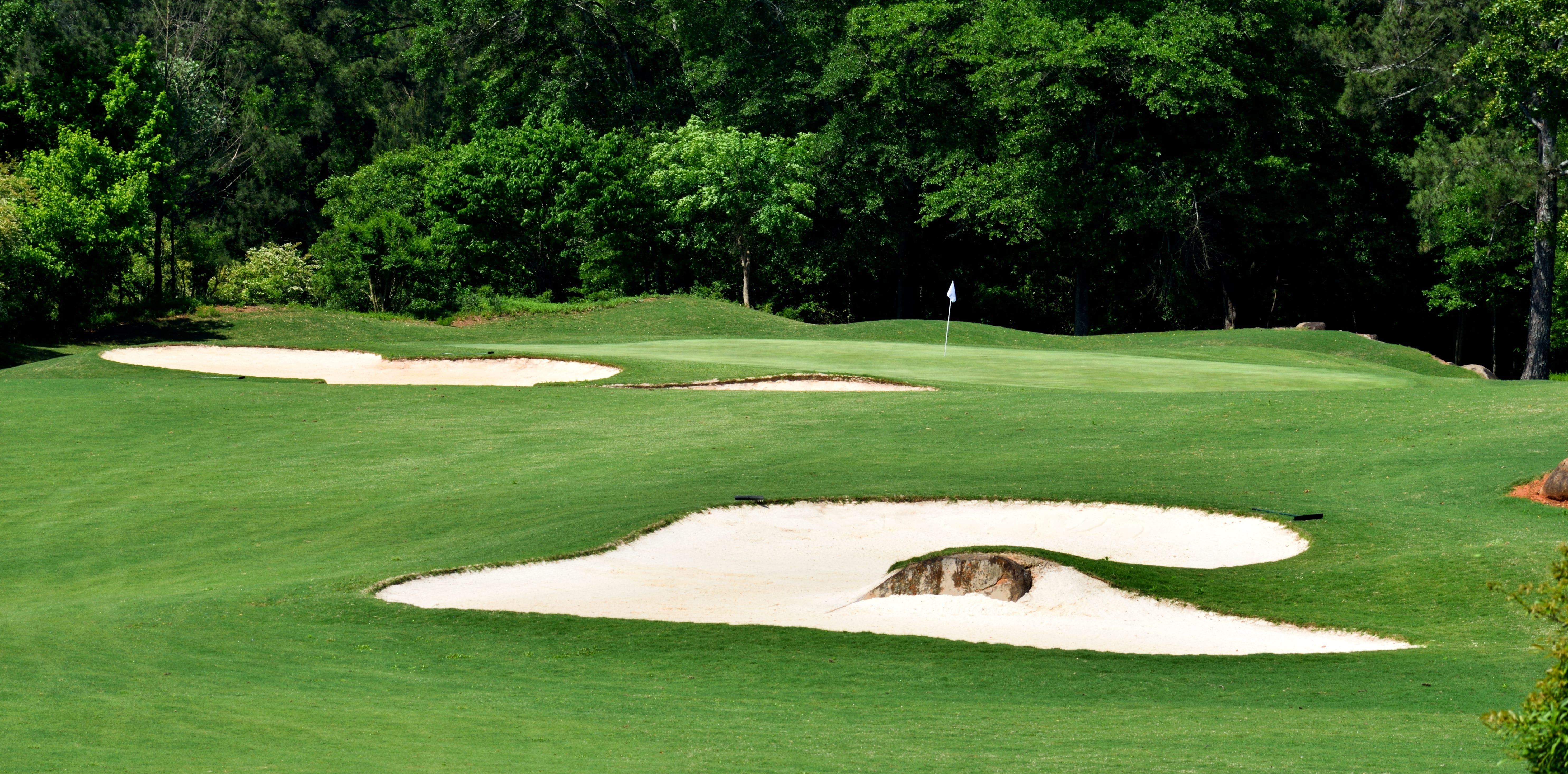green, nature, competition, play, recreation, activity, day, club, course, 5K, sand, plant, green - golf course, outdoors, fairway, game, beauty in nature, HD Wallpaper