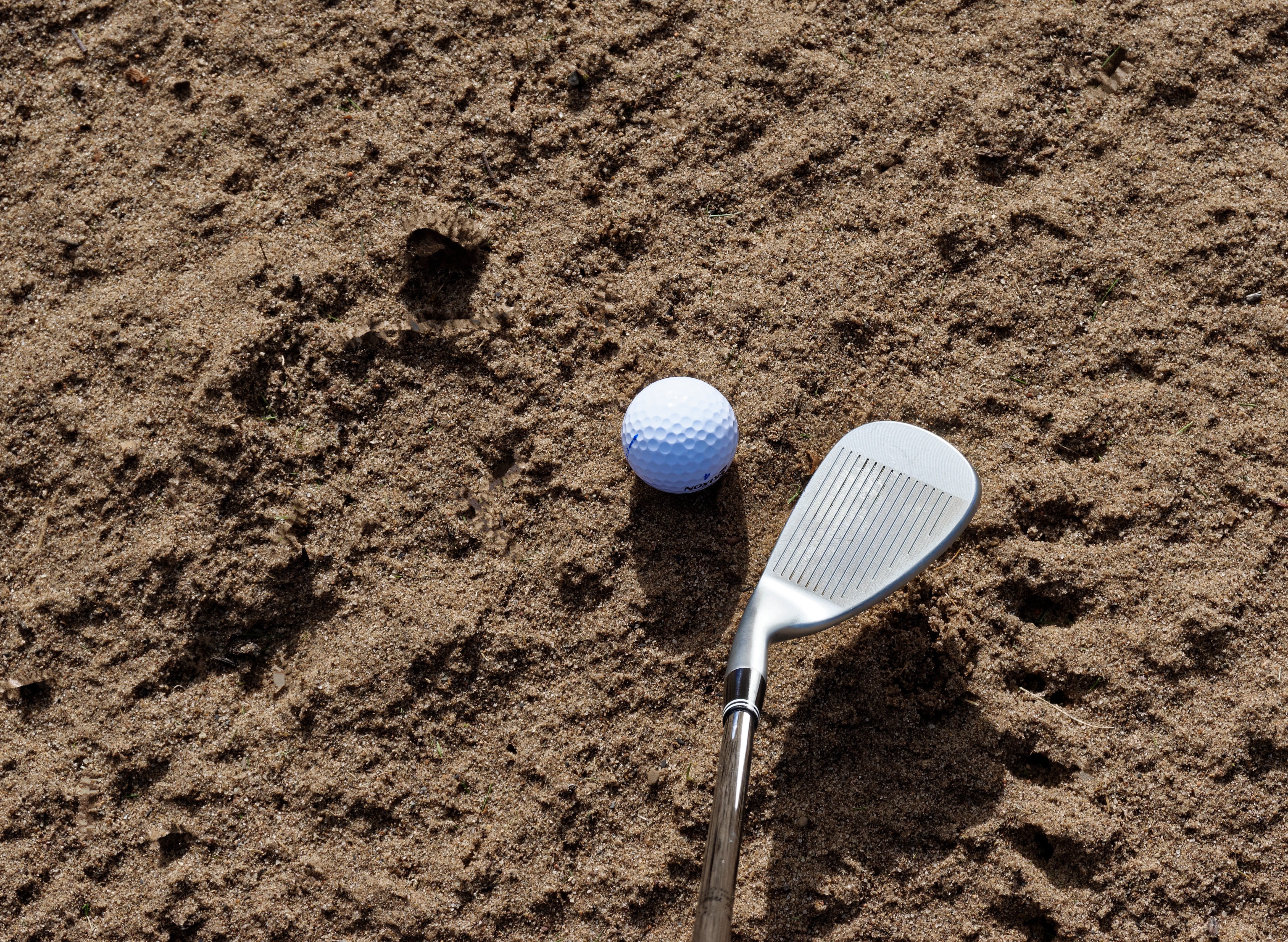 golfing, sunlight, day, sand iron, hit, golfer, golf, high angle view, recreational, activity, golf course, hazard, outdoors, land, no people, 4K, wedge, HD Wallpaper