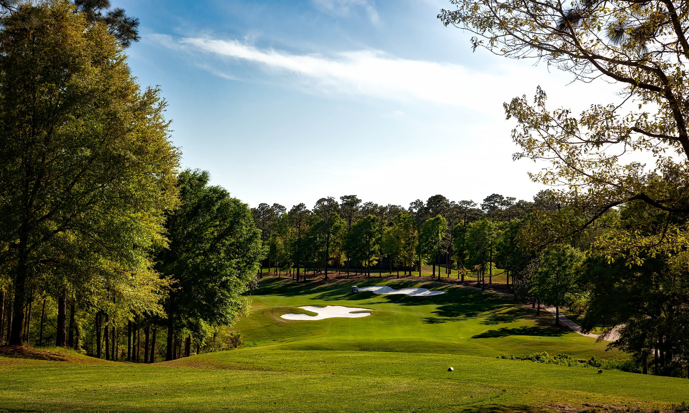 golfing, golf, tree, growth, clouds, grass, fairway, cloud - sky, holiday, grasses, mobile, recreation, sports, magnolia golf course, plant, golf course, HD Wallpaper