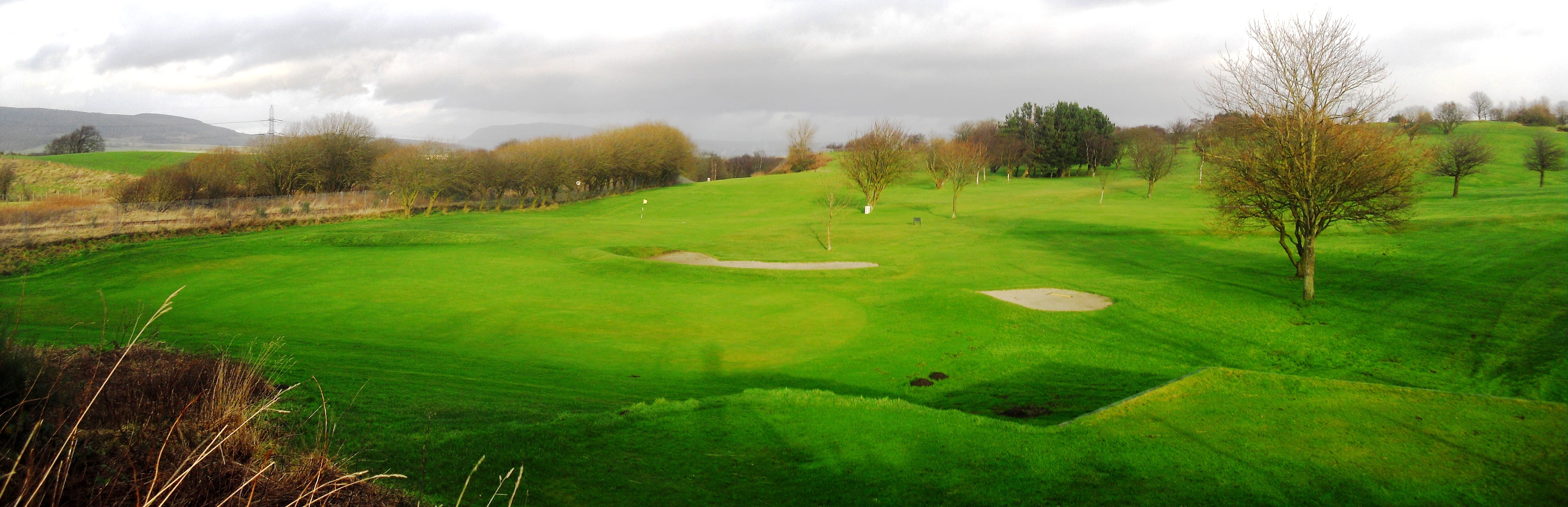 cloud - sky, activity, field, outdoors, trees, plant, green color, environment, tranquility, 5K, sky, Landscape, green - golf course, golf club, leisure activity, HD Wallpaper