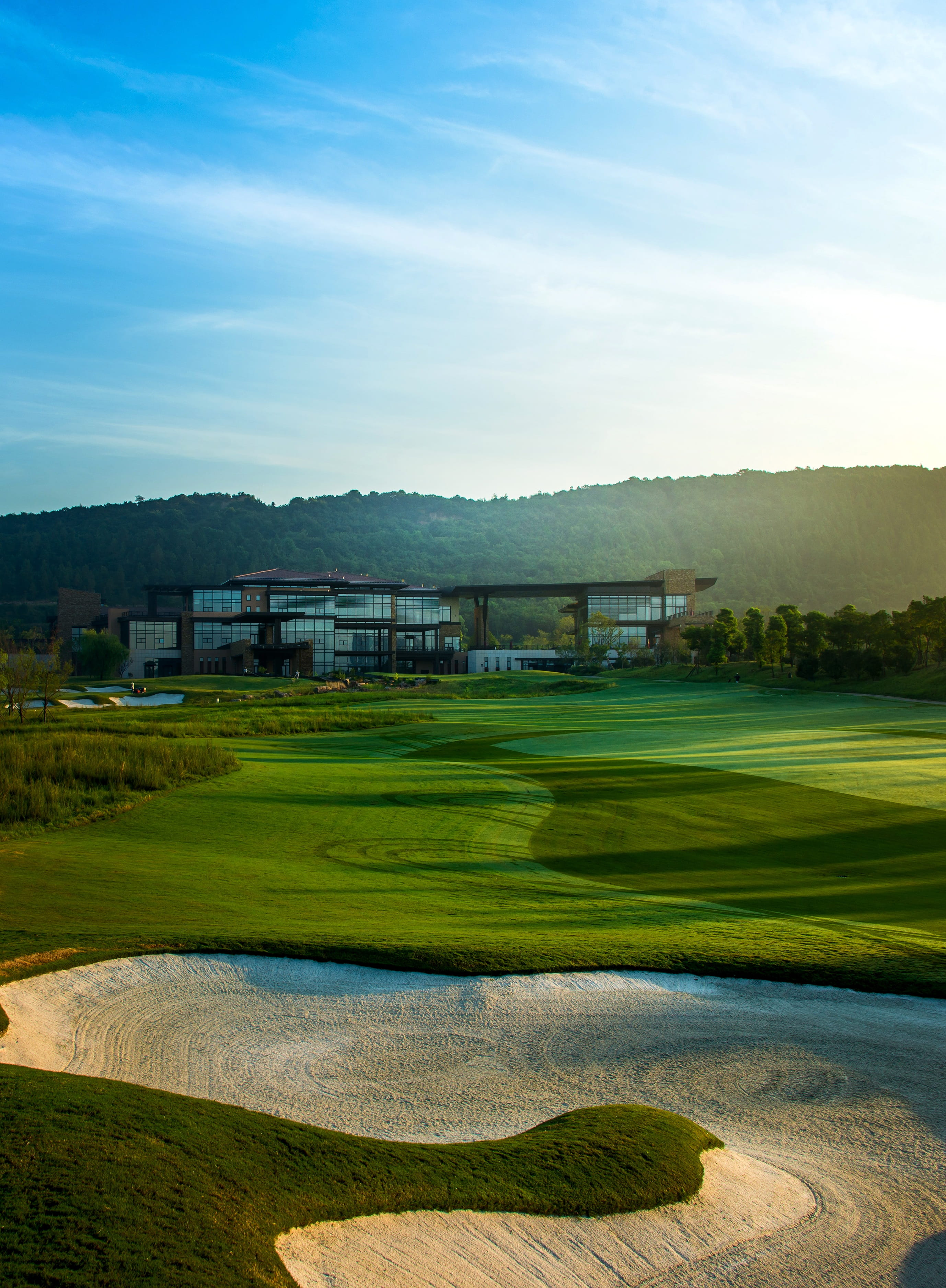 scenics - nature, outdoors, nature, golf Course, tree, grass, architecture, built structure, putting Green, sport, green Color, Blue Sky, plant, sky, tranquil scene, Phone HD Wallpaper