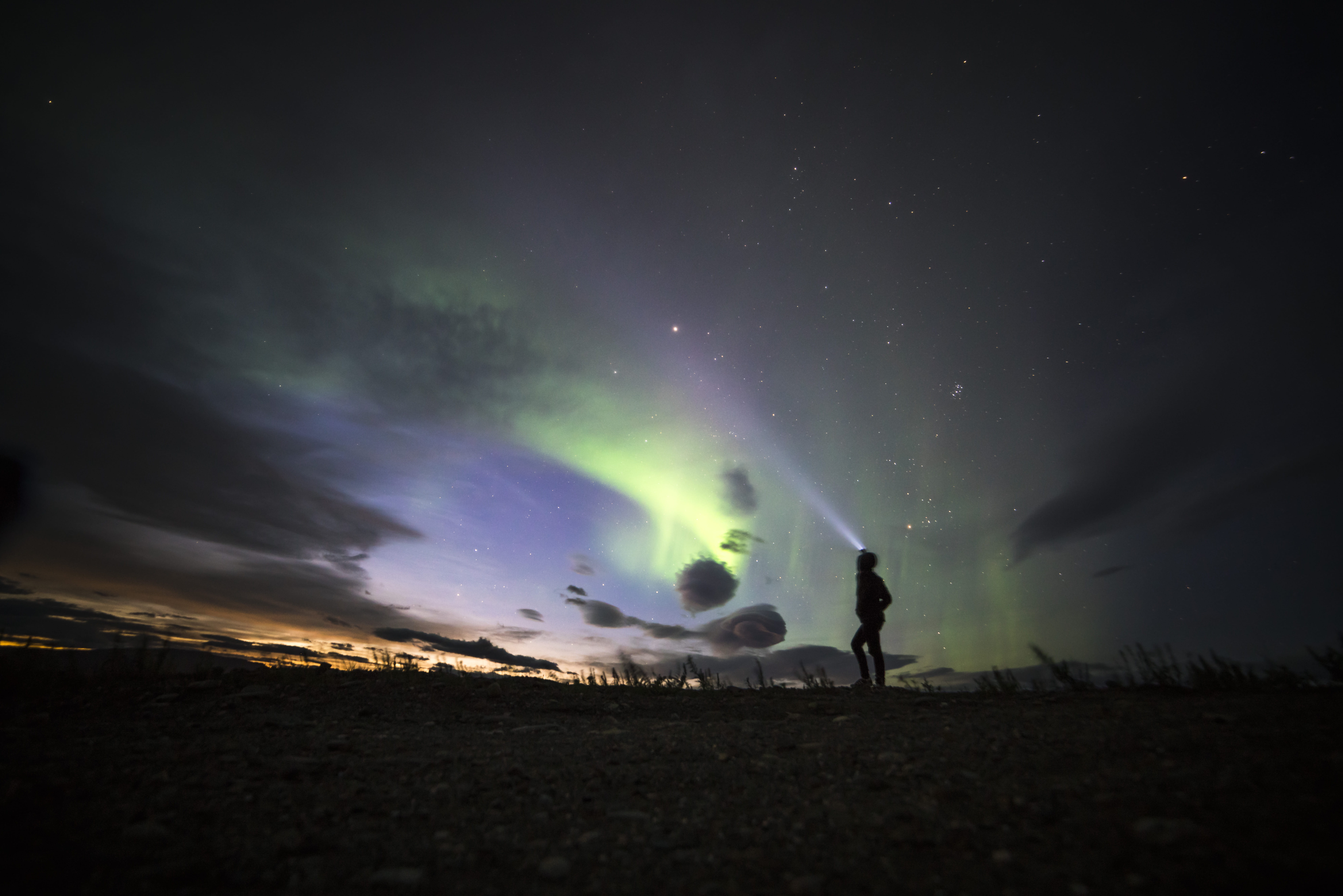 northern lights, star - space, land, nature, majestic, 8K, united states, north, one person, aurora borealis, beauty in nature, real people, astronomy, HD Wallpaper
