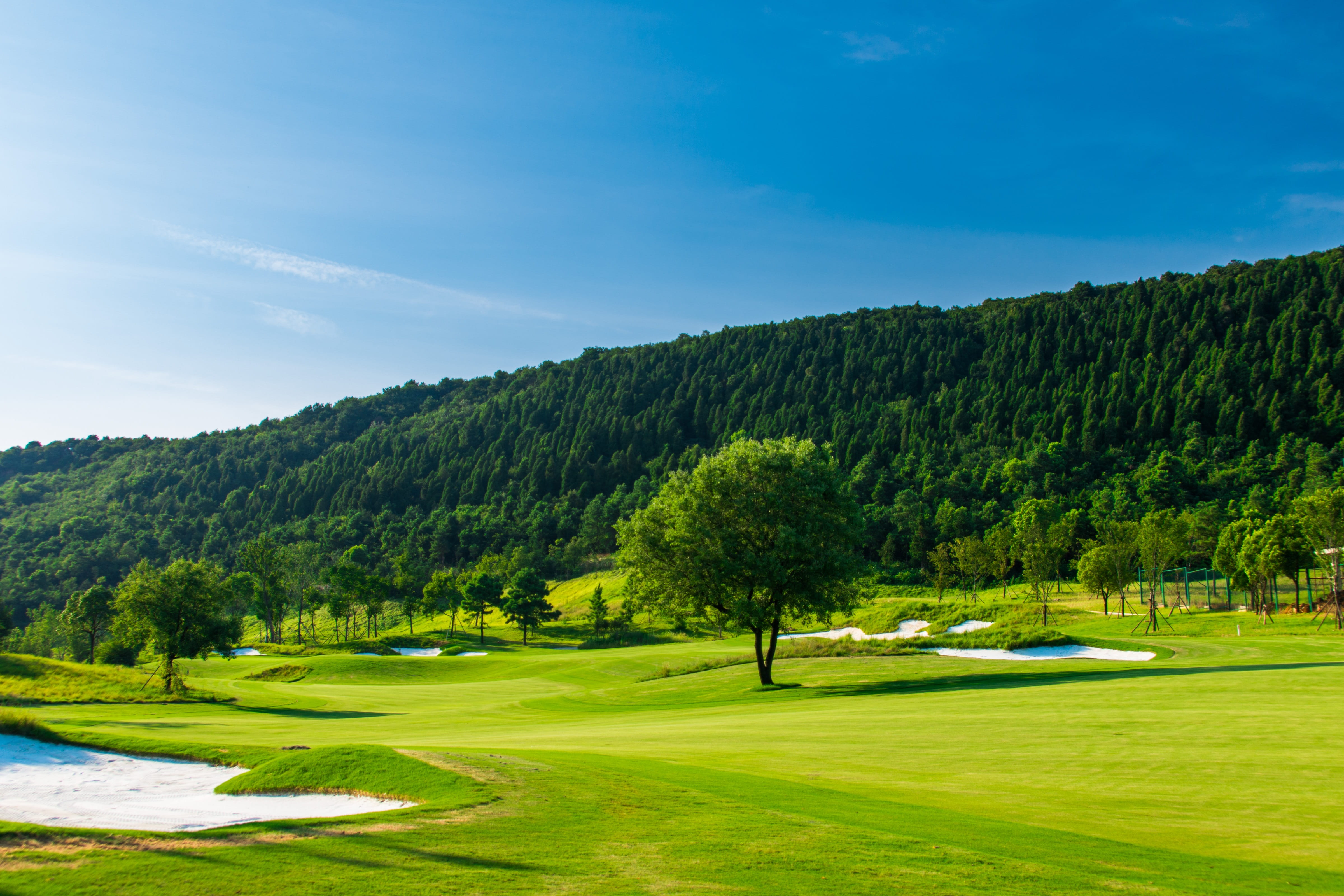 outdoors, grass, sky, scenics - nature, no people, activity, putting green, Blue Sky, tranquility, blue, Golf, 4K, green color, growth, leisure activity, HD Wallpaper