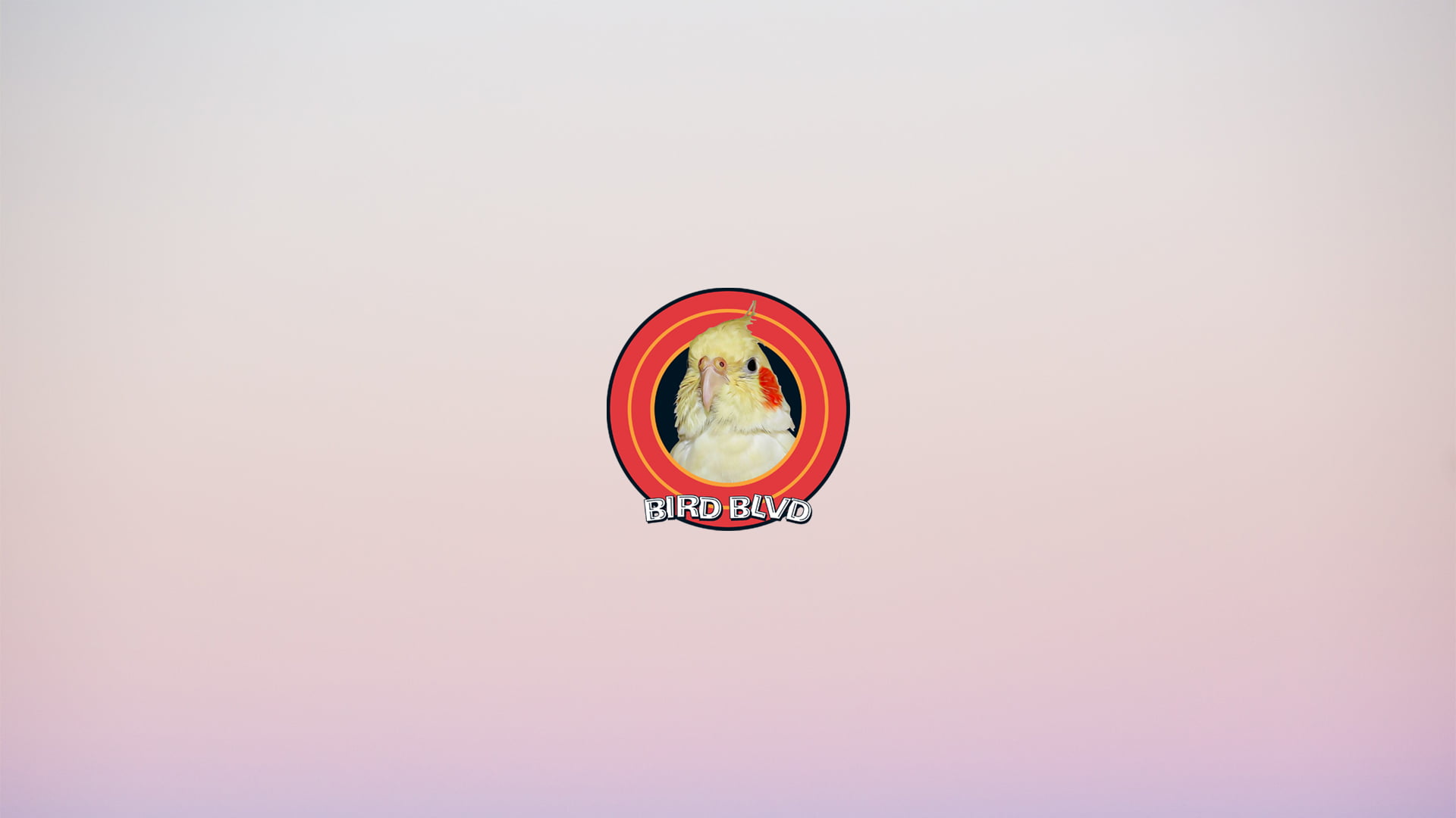 Cockatiel, Bird, Parakeet, 1080P, Parrot, Birds, HD Wallpaper
