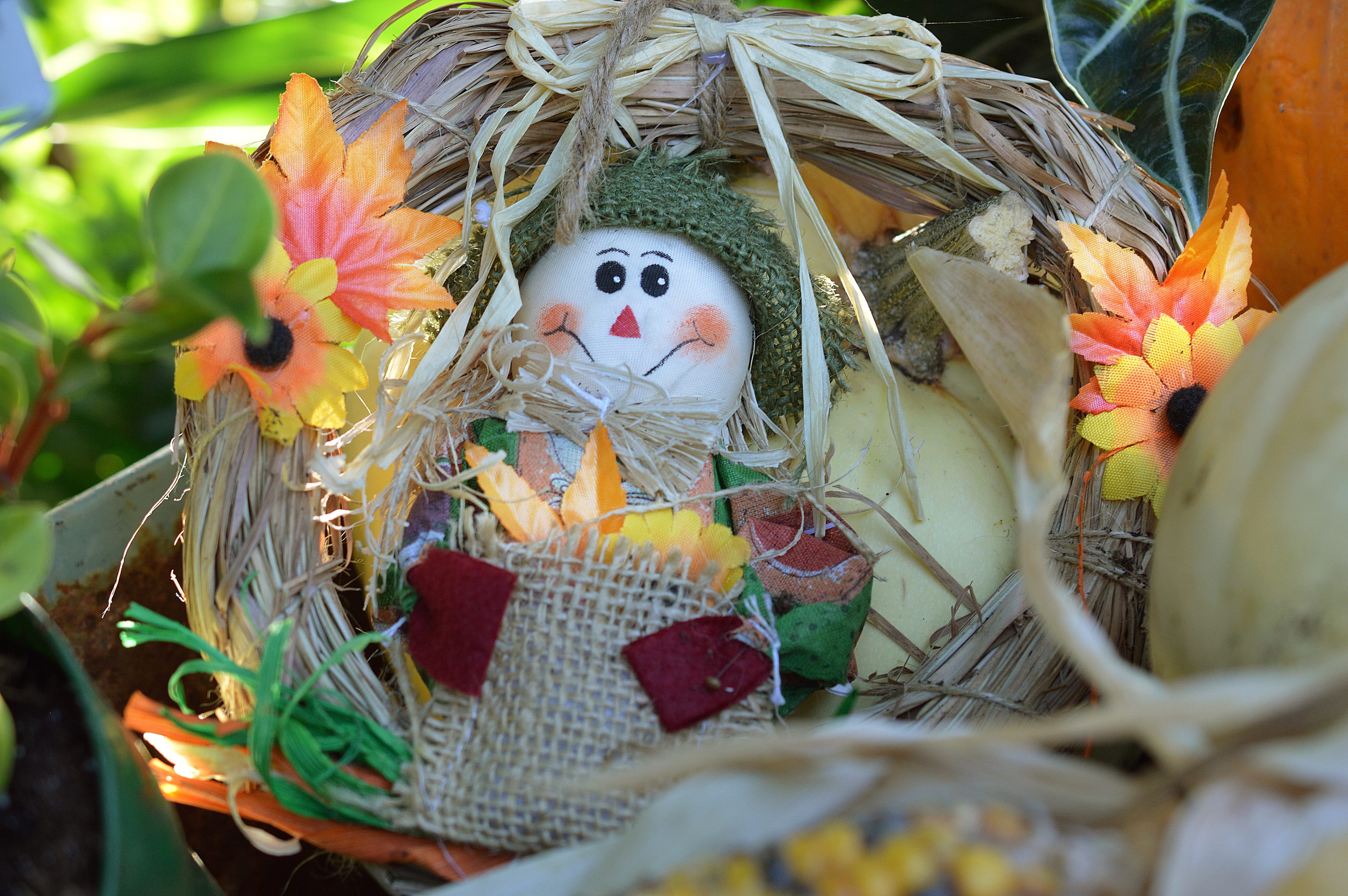 birdcage, celebration, female likeness, human representation, representation, no people, flower, art and craft, plant, 4K, egg, holiday, Autumn, day, creativity, HD Wallpaper