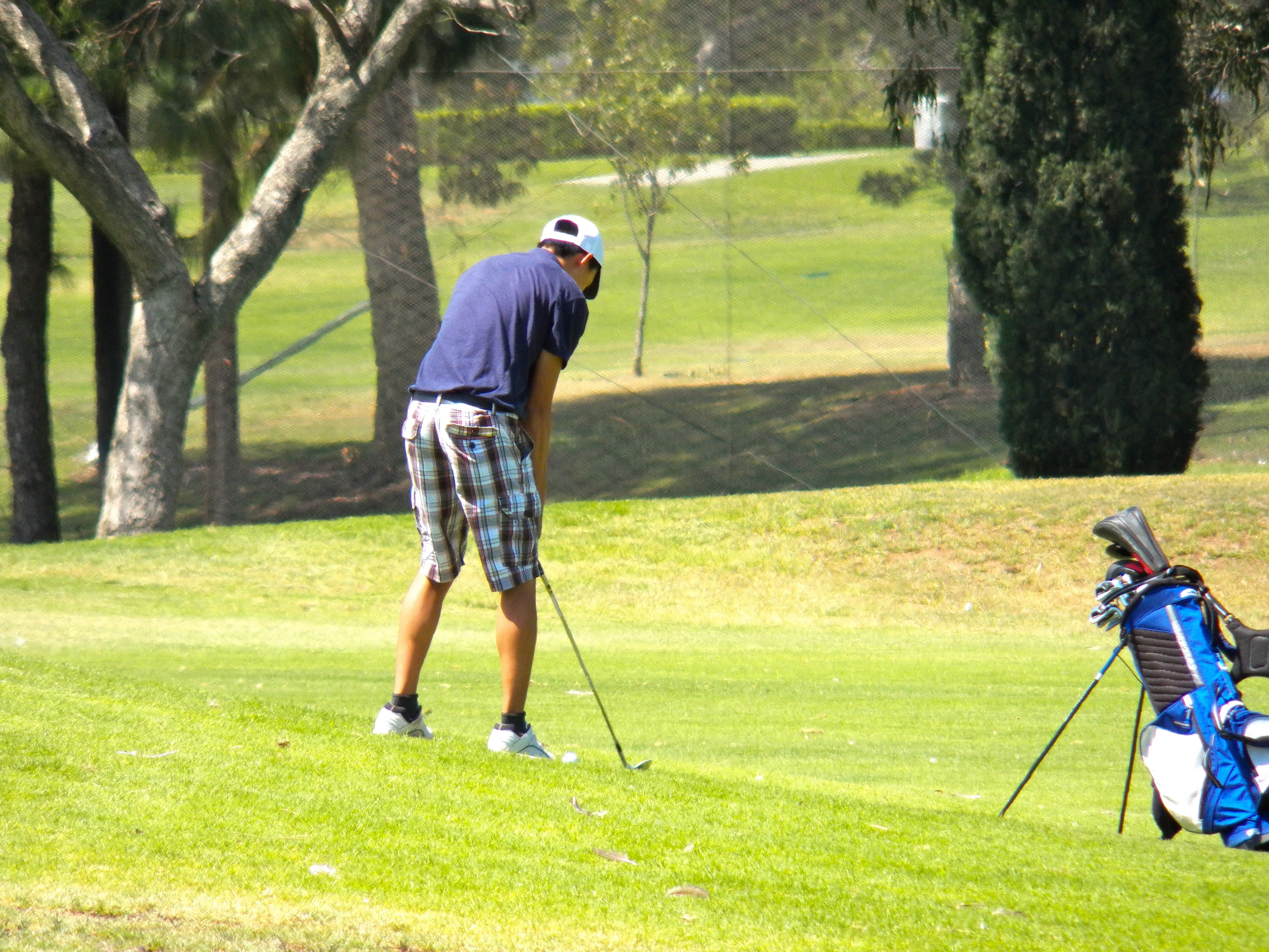 club, course, cap, one person, taking a shot - sport, adult, competition, hitting, man, golfing, tree, nature, activity, grass, green, weekend activities, HD Wallpaper