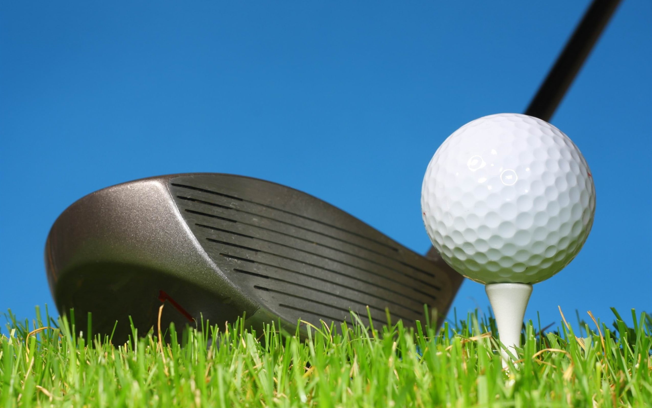 nature, activity, recreational pursuit, outdoors, golf, close-up, tee, 2K, golf course, sport, green color, stick, lawn, playing, golf ball, HD Wallpaper