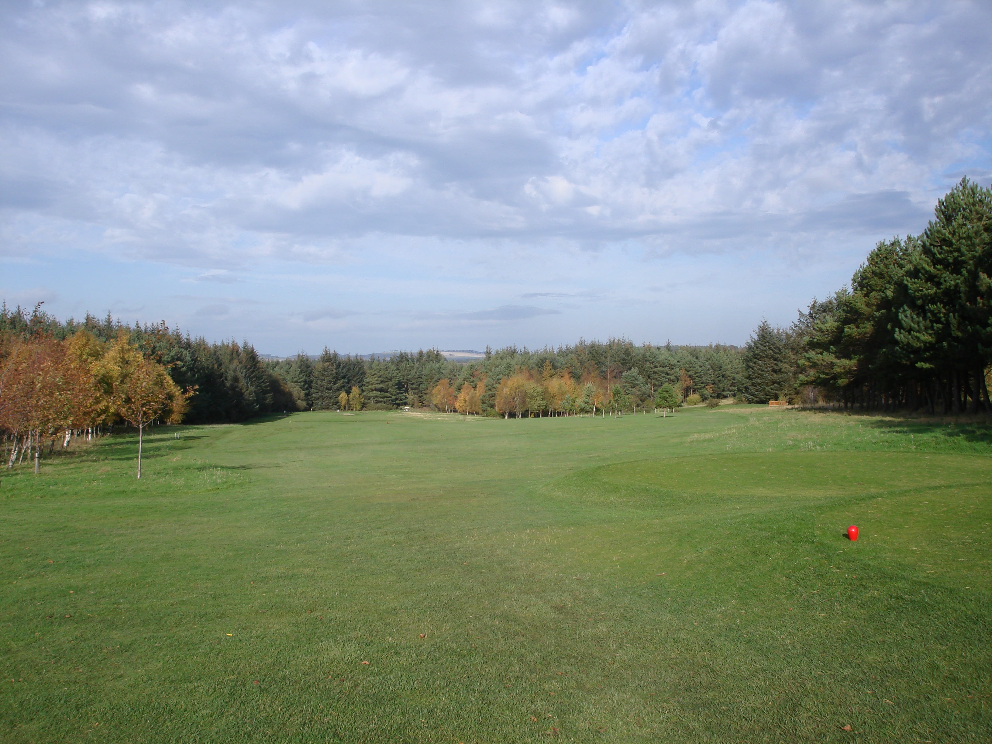 challenge, compete, driver, shot, field, sport, green color, competition, player, golfcourse, activity, enjoyment, green - golf course, tee, play, photography, HD Wallpaper