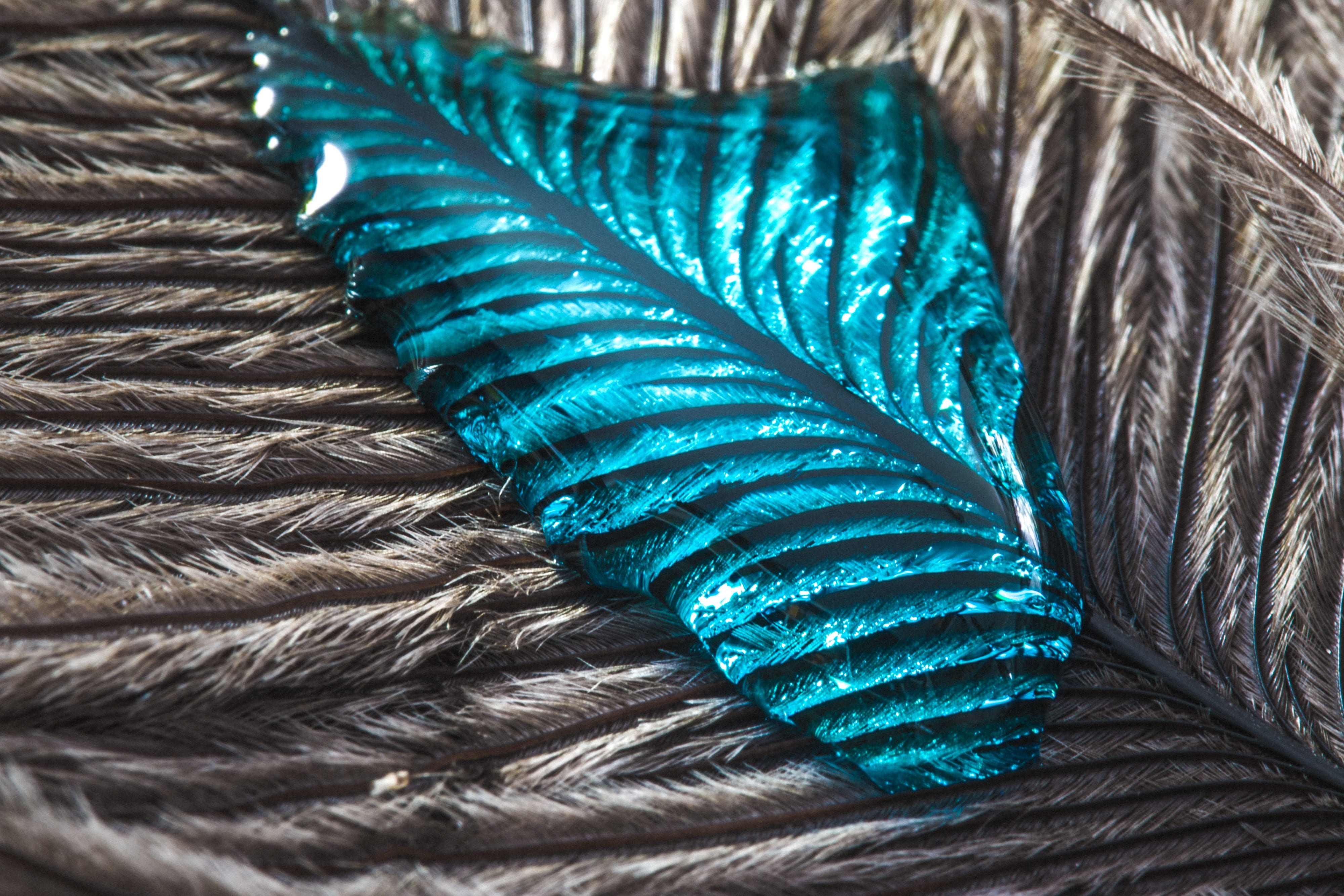 animal, green color, close-up, liquid, drip, bird, macro, no people, animal themes, close, full frame, blue, softness, backgrounds, feather, high angle view, HD Wallpaper