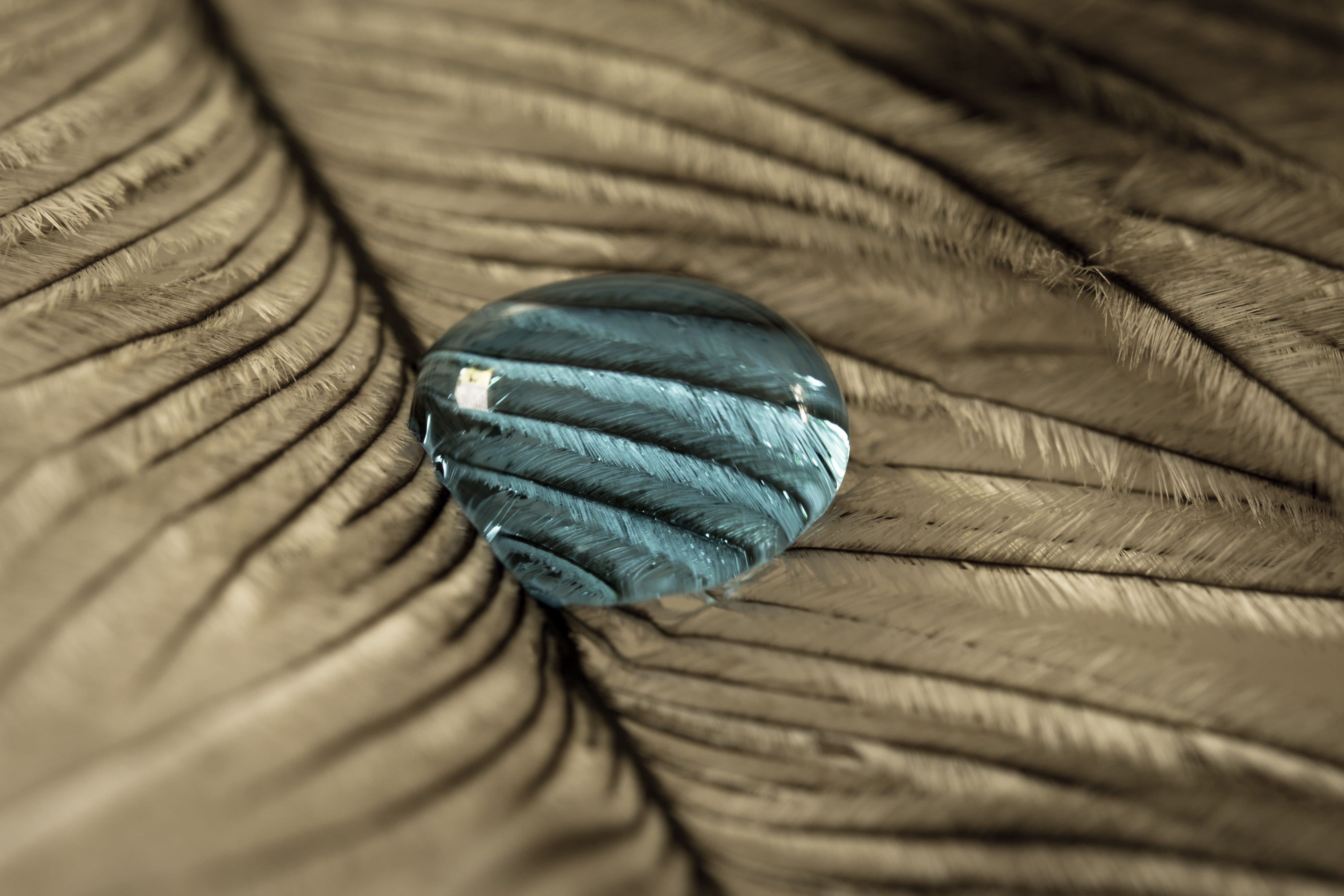 full frame, softness, rope, feather, textile, strauss spring, indoors, simplicity, turquoise colored, backgrounds, texture, selective focus, no people, HD Wallpaper