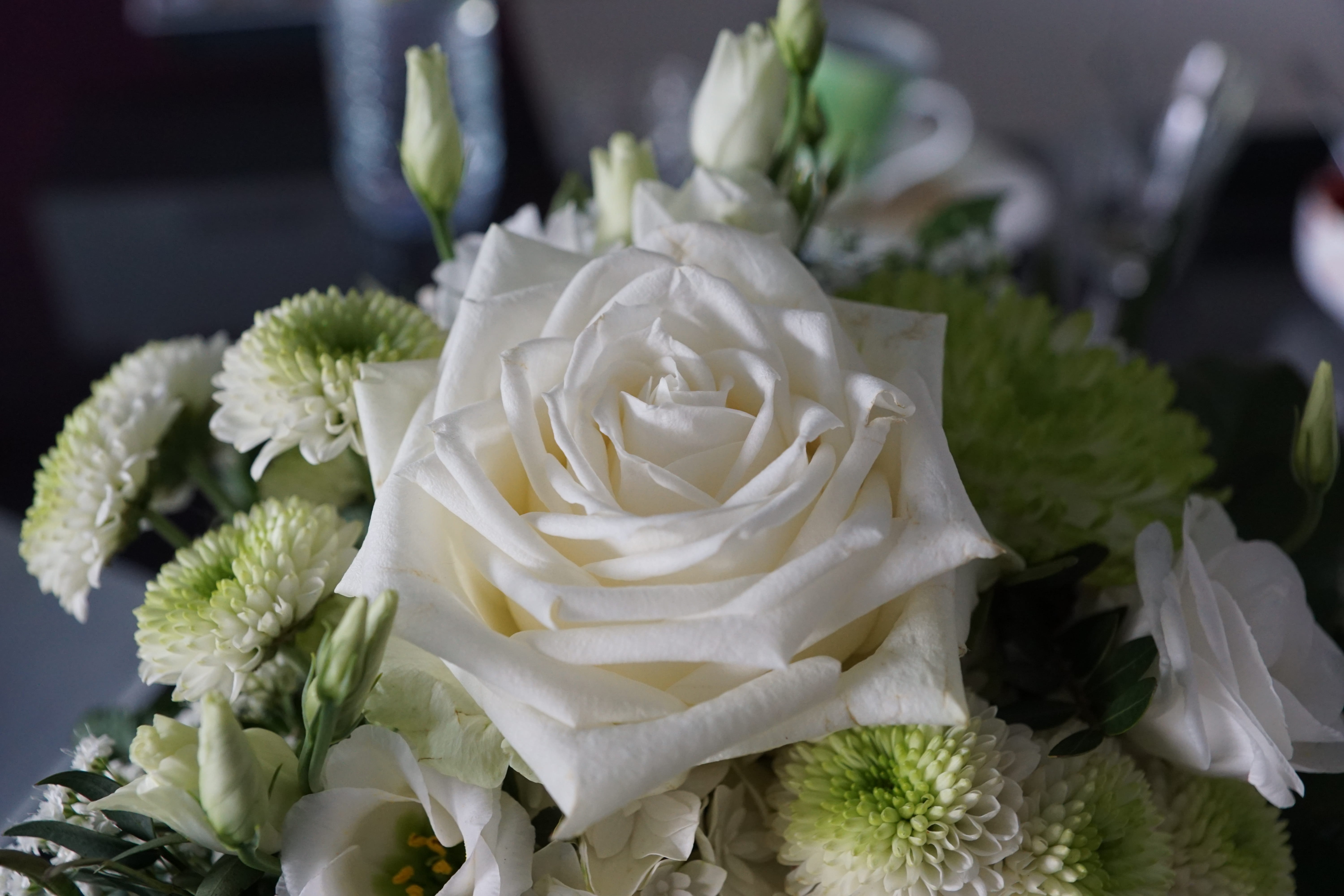 rose - flower, fragrance, perfume, spa, cosmetics, strauss, easter, close-up, flower arrangement, plant, vulnerability, flower head, birthday, inflorescence, HD Wallpaper