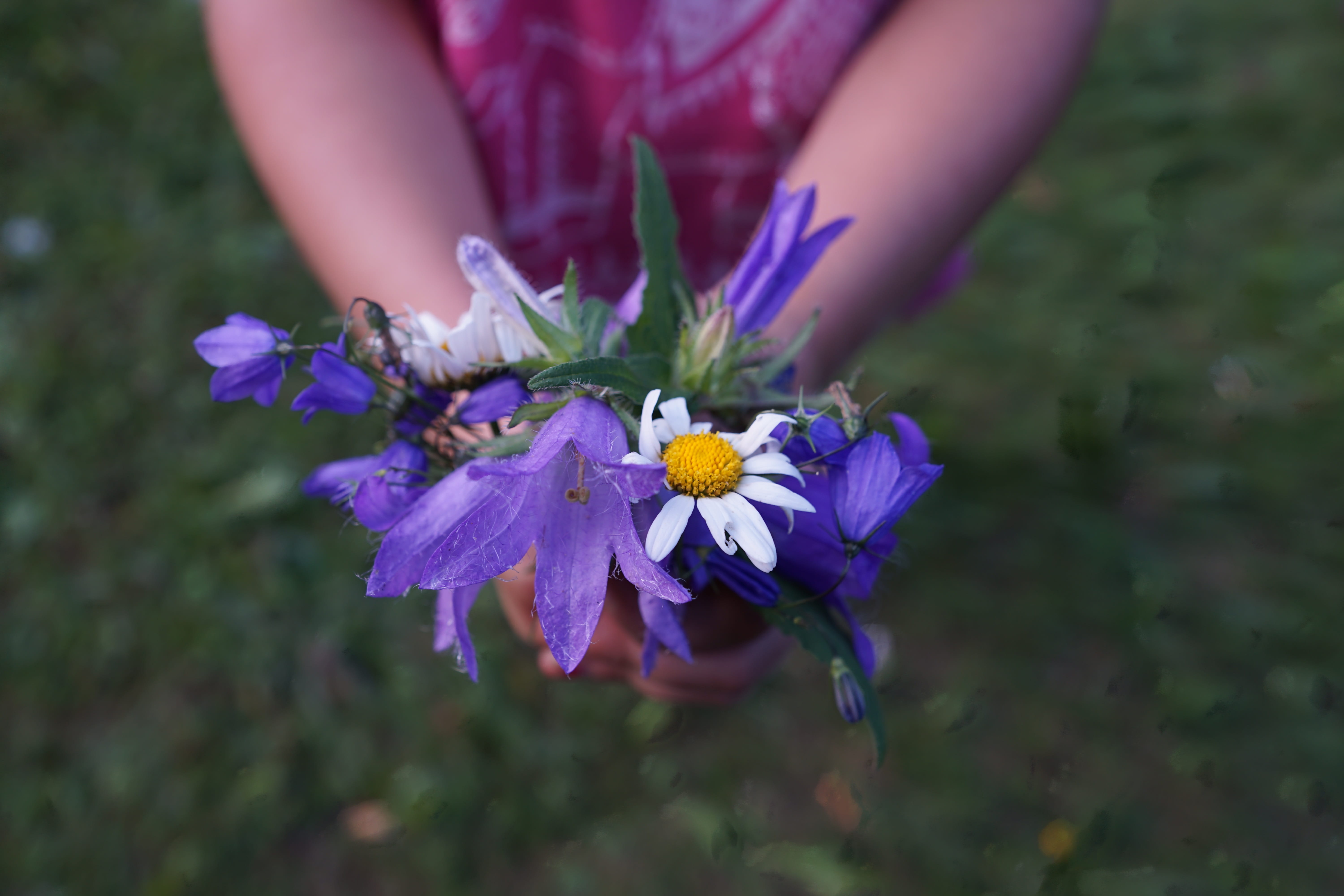 inflorescence, celebration, aroma, perfume, vulnerability, creative, marriage, day, fragrance, femininity, nature, petal, mothers day, international womens day, HD Wallpaper