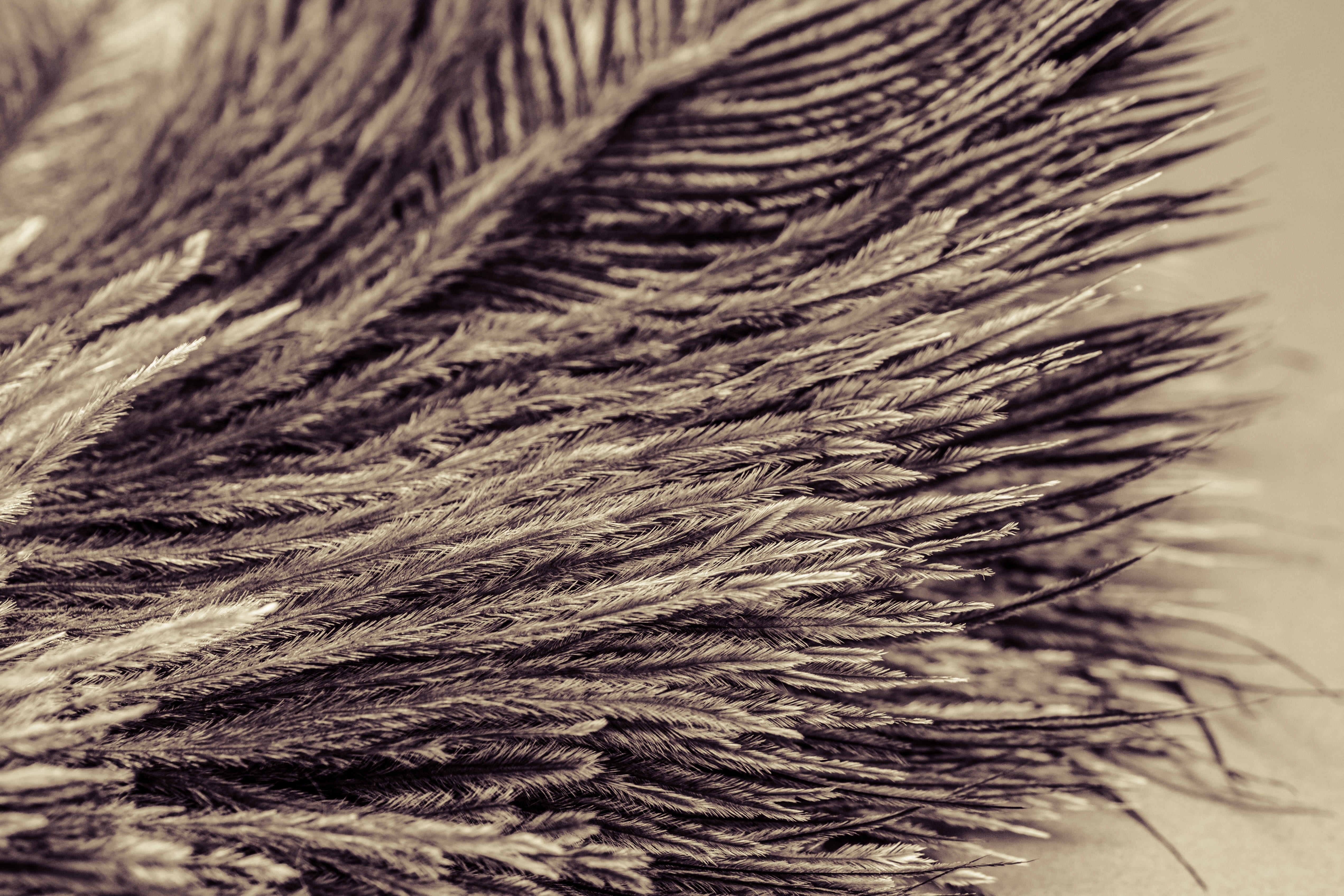 macro, textile, still life, textured, hair, spring dress, full frame, nahaufmahme, focus on foreground, selective focus, pattern, no people, 4K, background, HD Wallpaper
