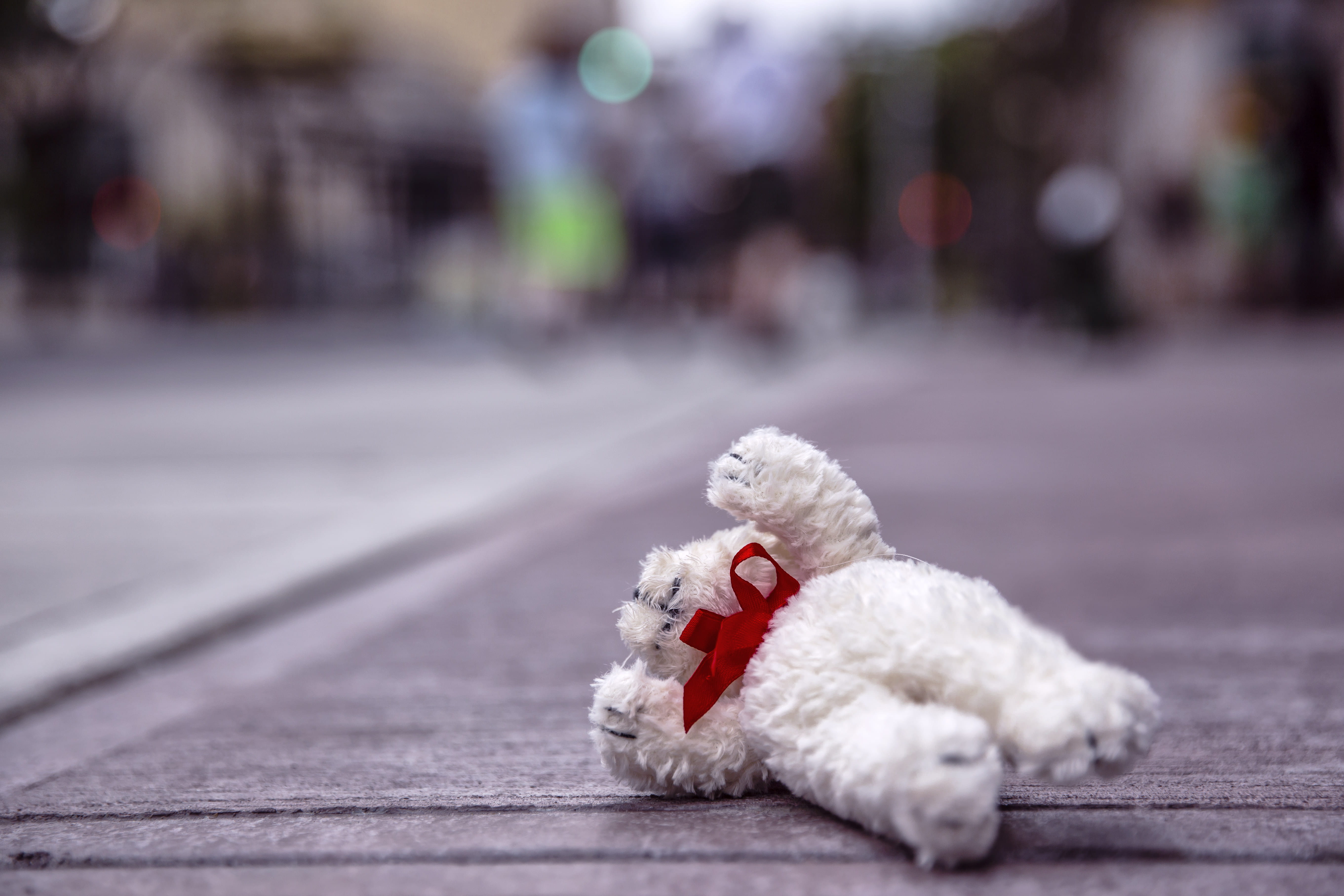 lost, christmas, representation, animal representation, winter, teddy Bear, childhood, animal themes, celebration, bokeh, selective focus, backgrounds, HD Wallpaper