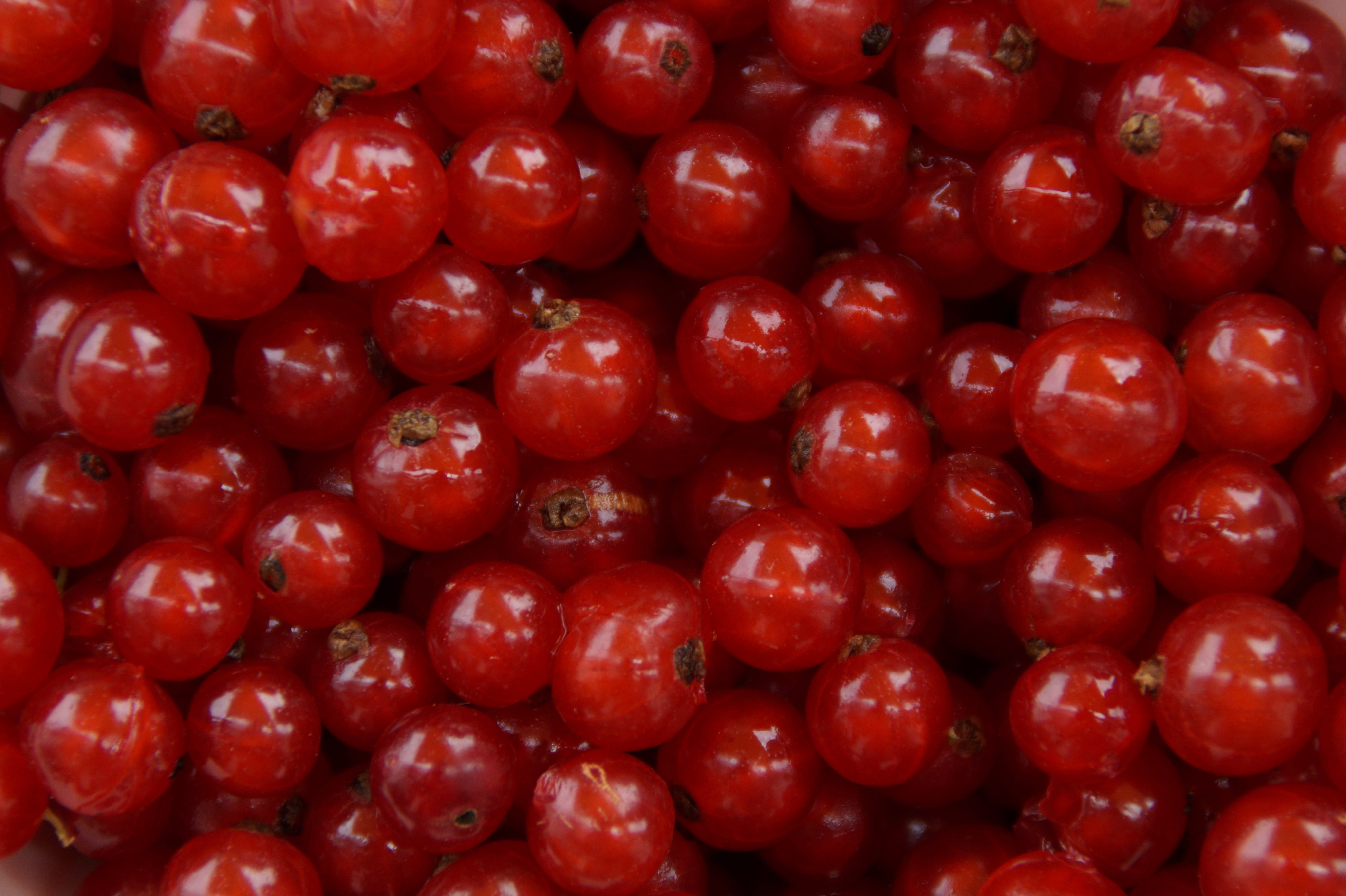 summer fruit, abundance, food, shiny, tomato, retail, fruits, garden, sour, currant, ripe, about, structure, food and drink, red, still life, backgrounds, HD Wallpaper