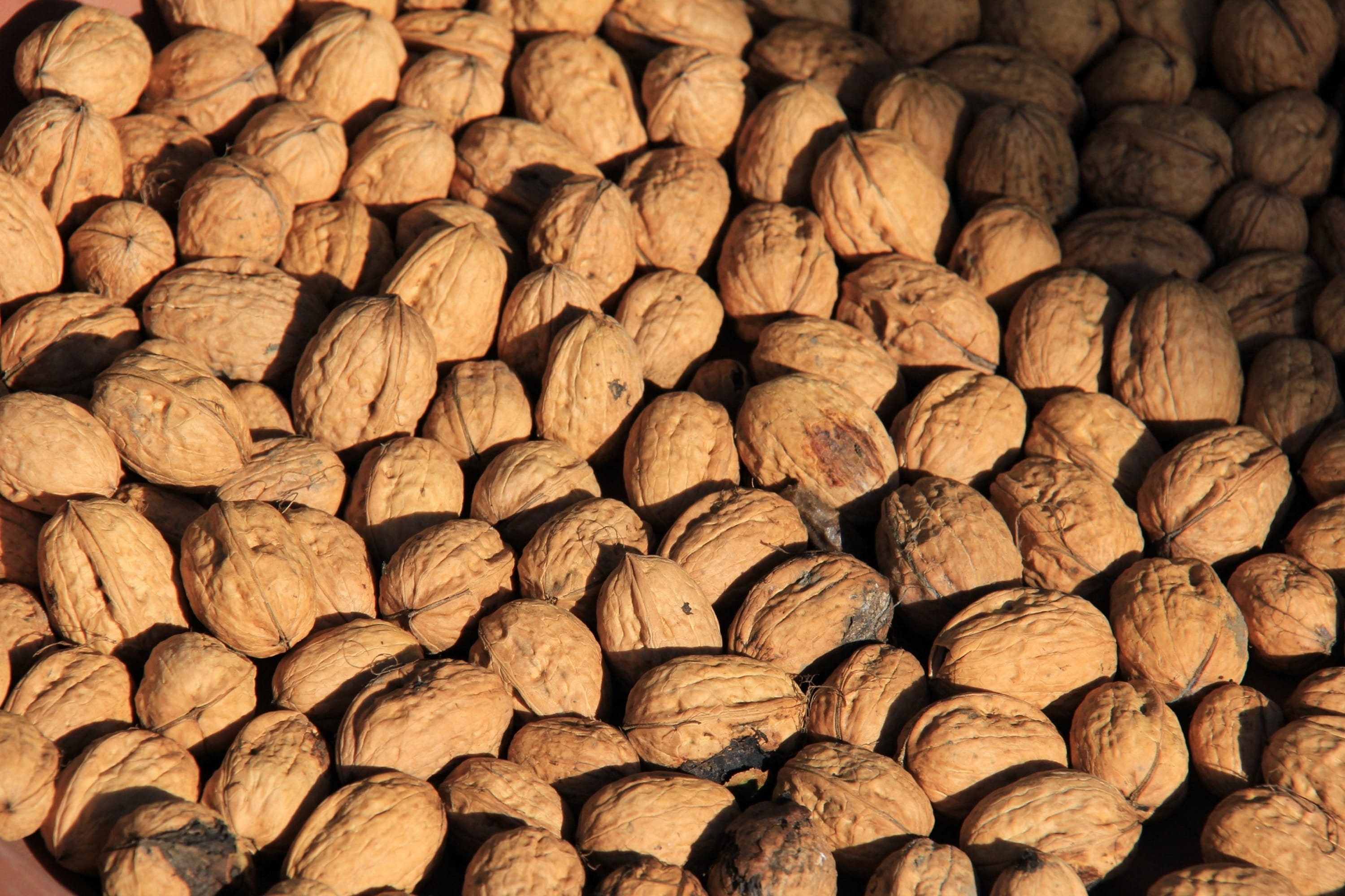 2K, stack, walnut, abundance, nut, still life, freshness, no people, tree nuts, large group of objects, repetition, quantitative, backgrounds, close-up, HD Wallpaper