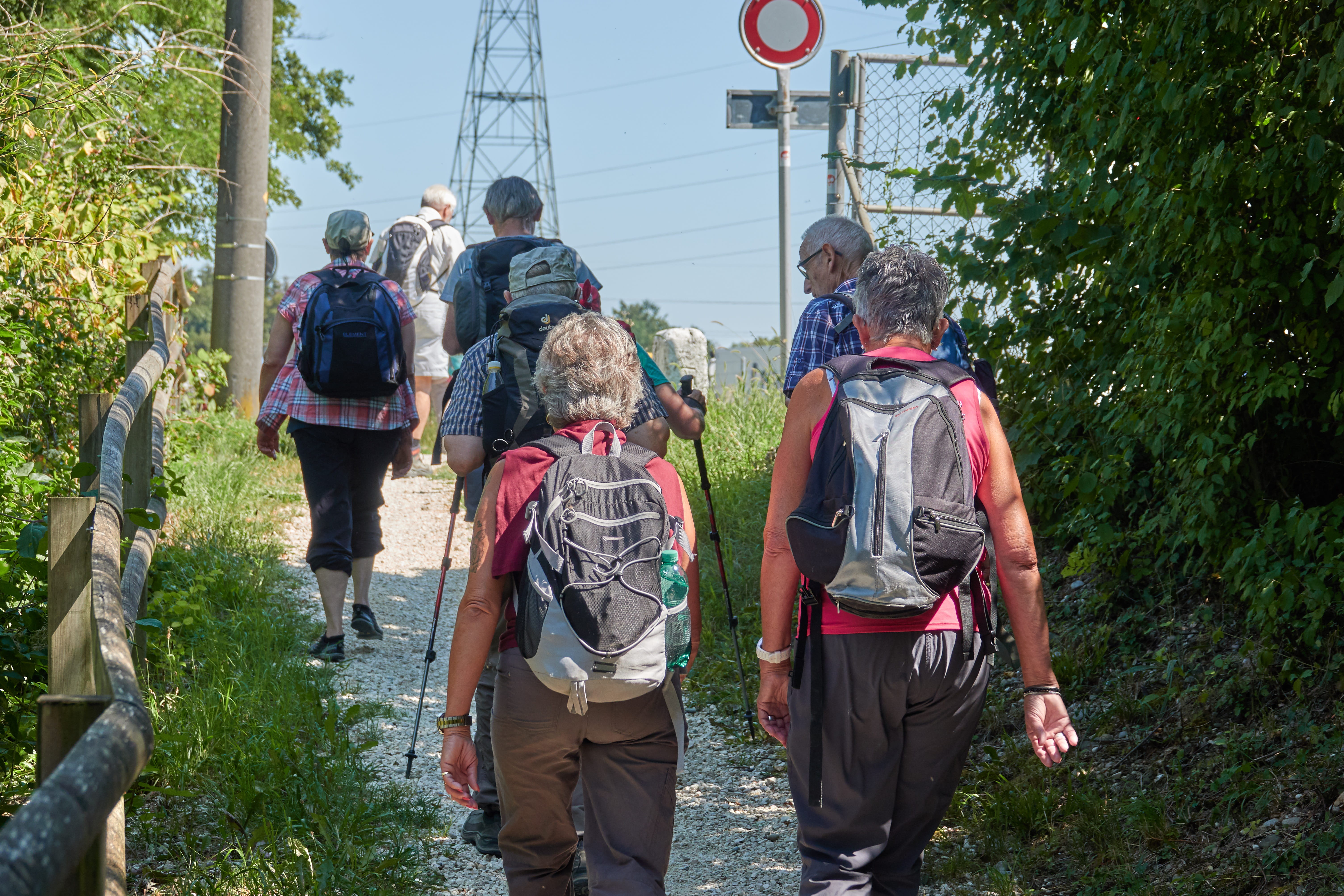 togetherness, males, group, people, women, backpack, men, team, walking, adult, nature, plant, casual clothing, day, human, group of people, road, hiking, HD Wallpaper