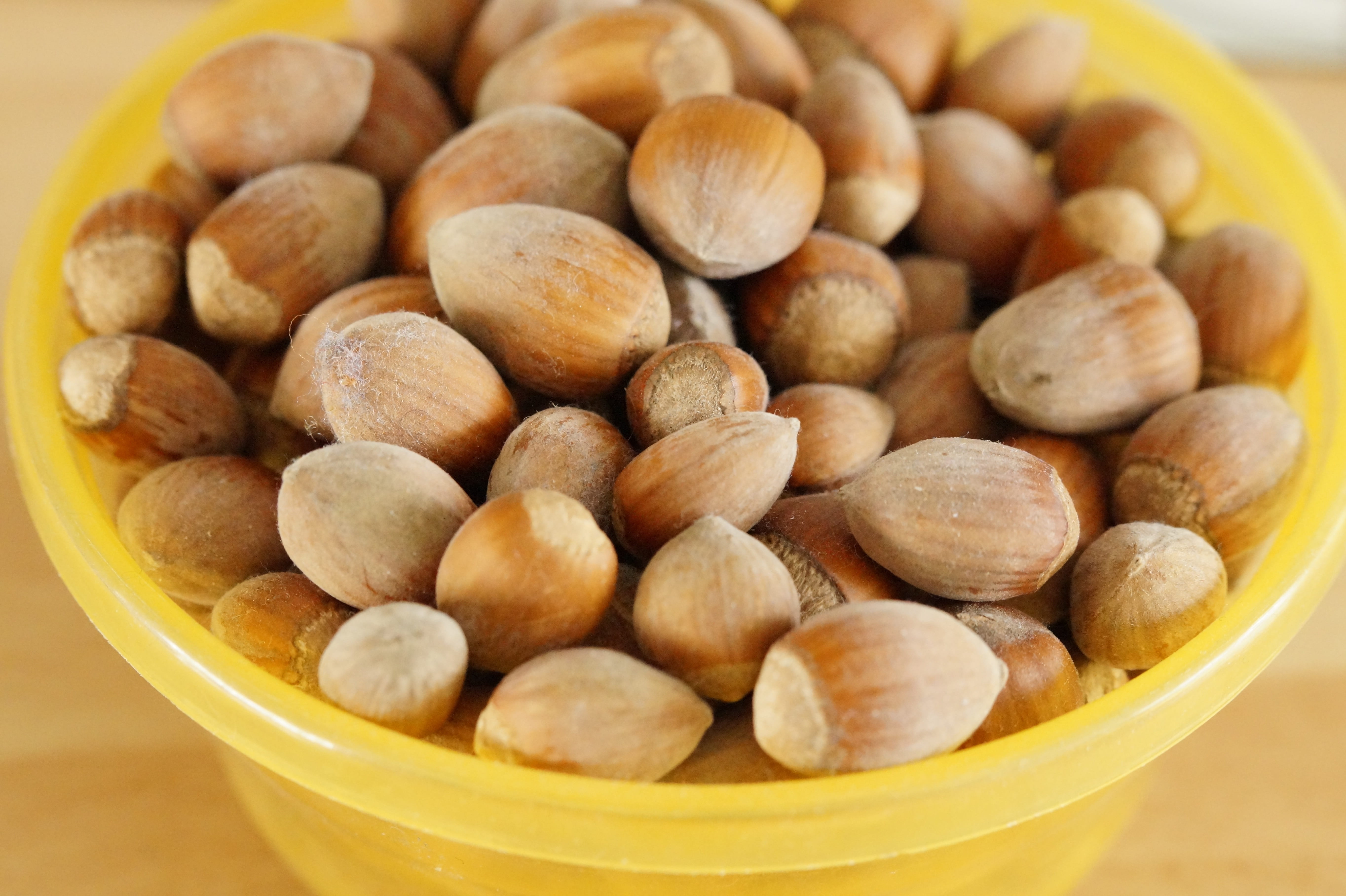 hazelnuts, shell, snack, abundance, mass, many, quantitative, healthy eating, still life, nut, focus on foreground, close-up, freshness, collected, 5K, HD Wallpaper