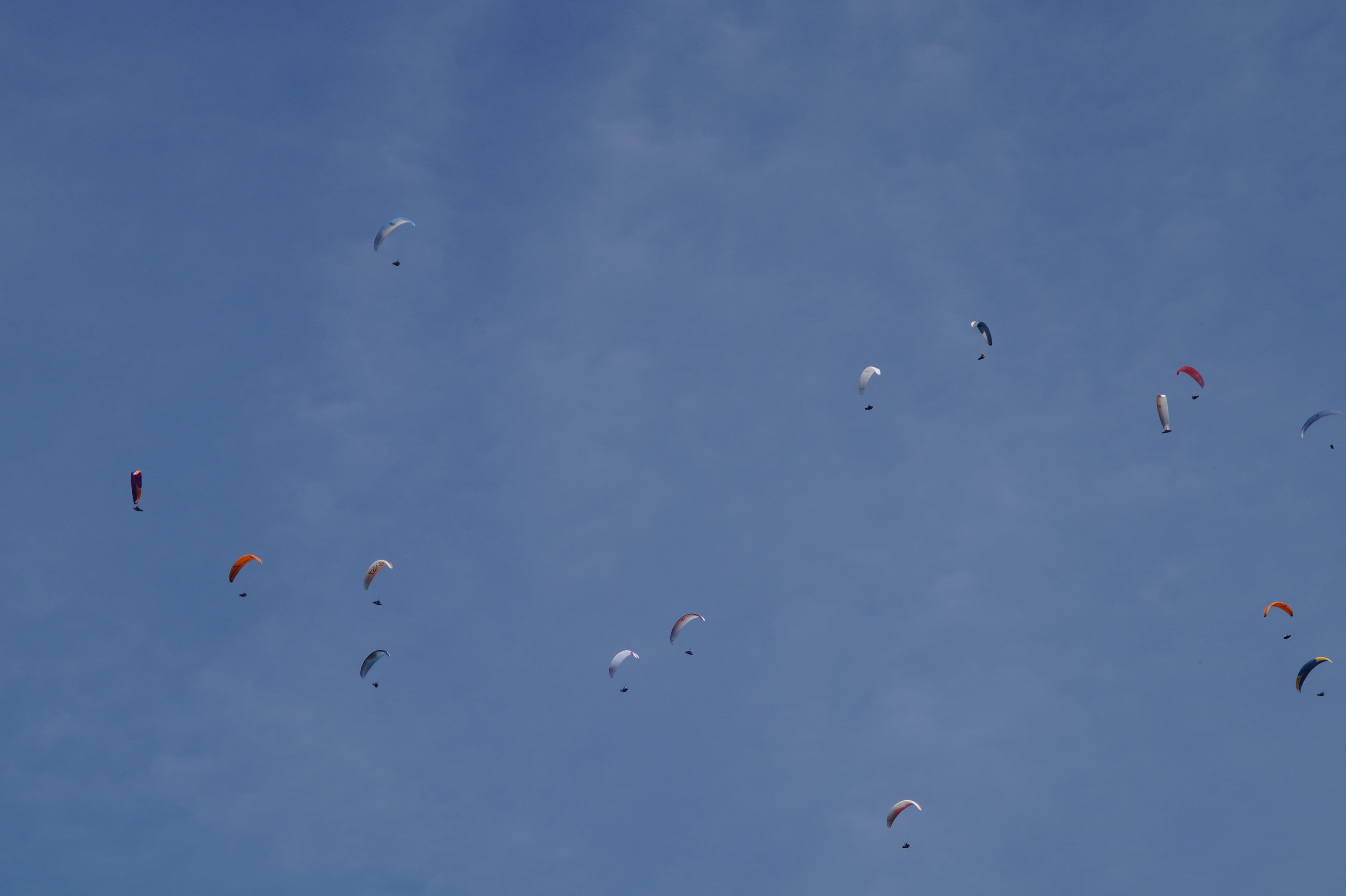 extreme sports, outdoors, bird, competition, group of people, winter, float, fly, mountain, freedom, swimming, thread, championship, low angle view, mass, HD Wallpaper