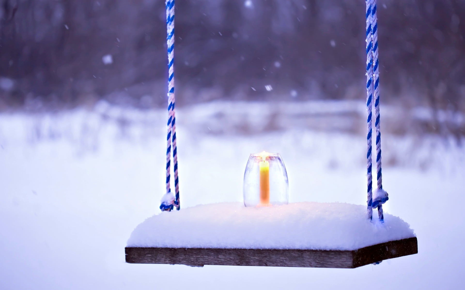  close-up, cold, purple, park - man made space, winter, water, snowing, mood, background, focus on foreground, no people, park, tree, frozen, HD Wallpaper