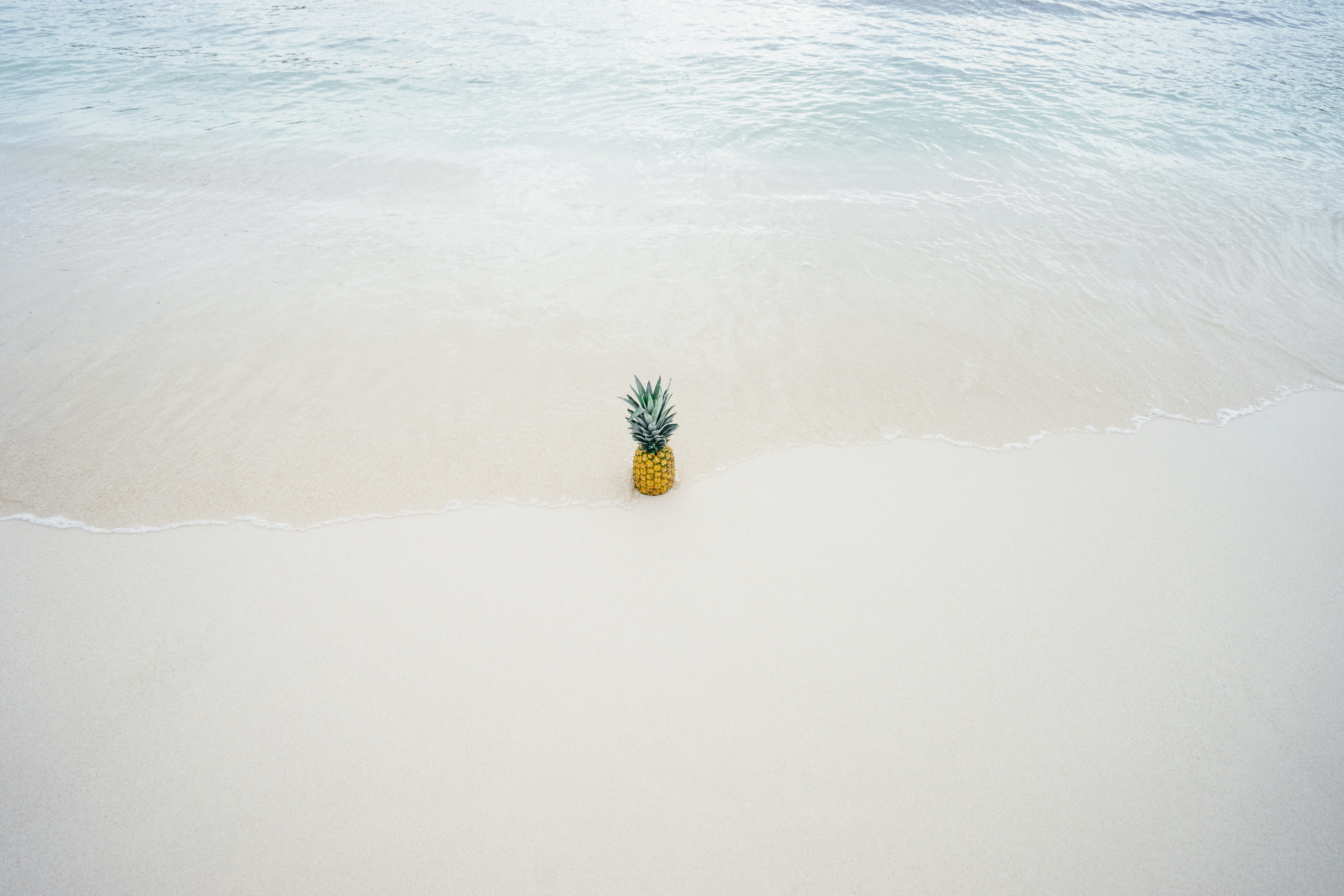 tide, snow, pineapple, seashore, summer, white color, beach, sand, tropical, near, summer backgrounds, clean, environment, flower, ocean, wave, HD Wallpaper