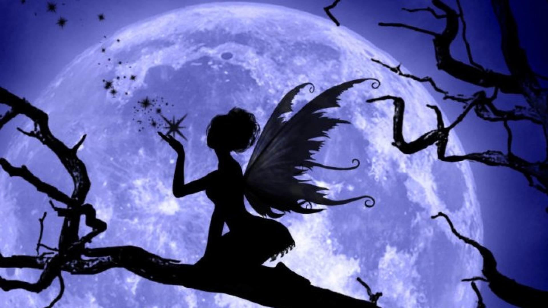 fairy, wings, art, 1080P, HD Wallpaper