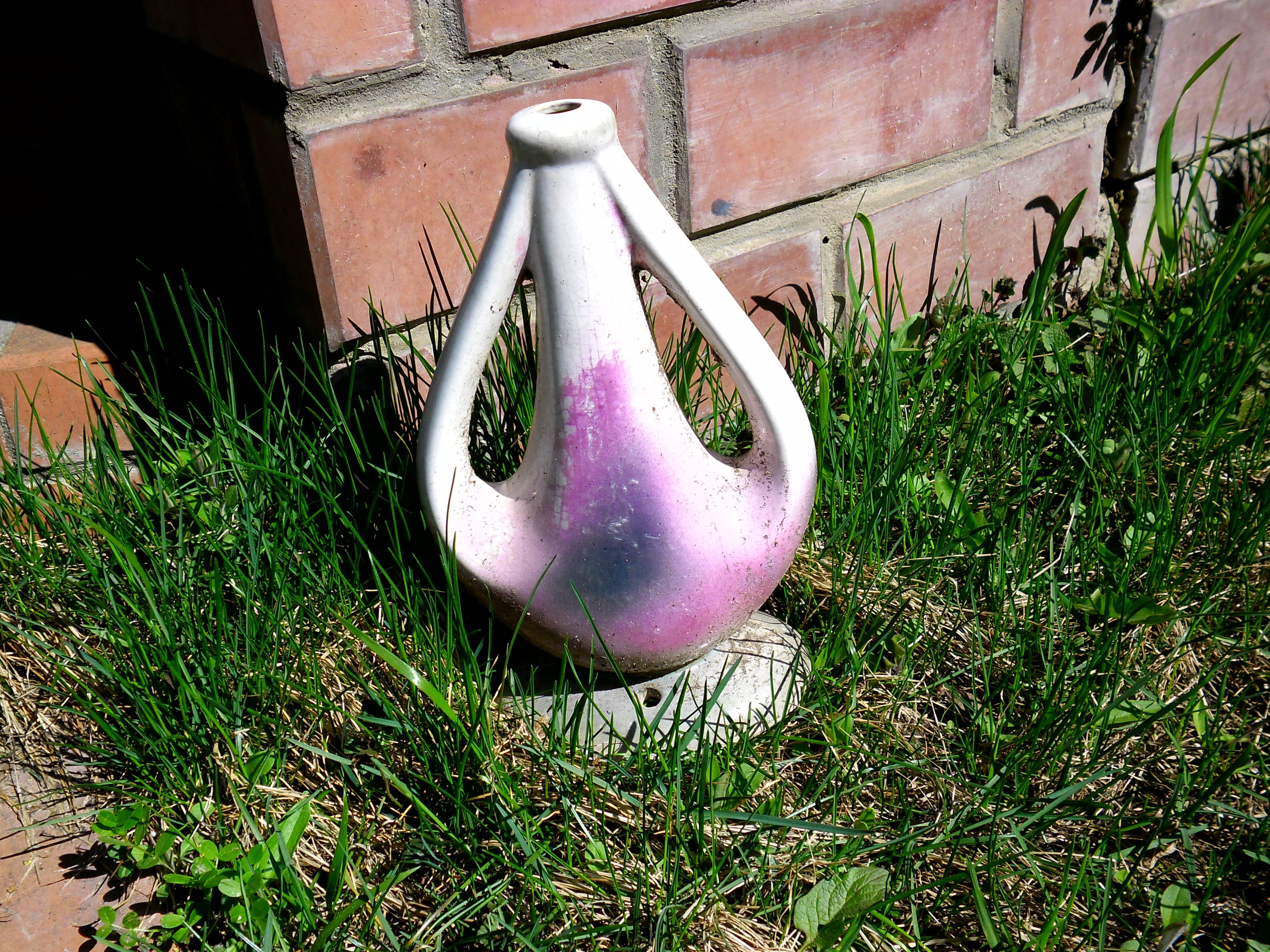 decanter, growth, wall - building feature, close-up, amphora, 4K, grass, vegetable, brick, field, architecture, day, plant, purple, green color, front or back yard, HD Wallpaper
