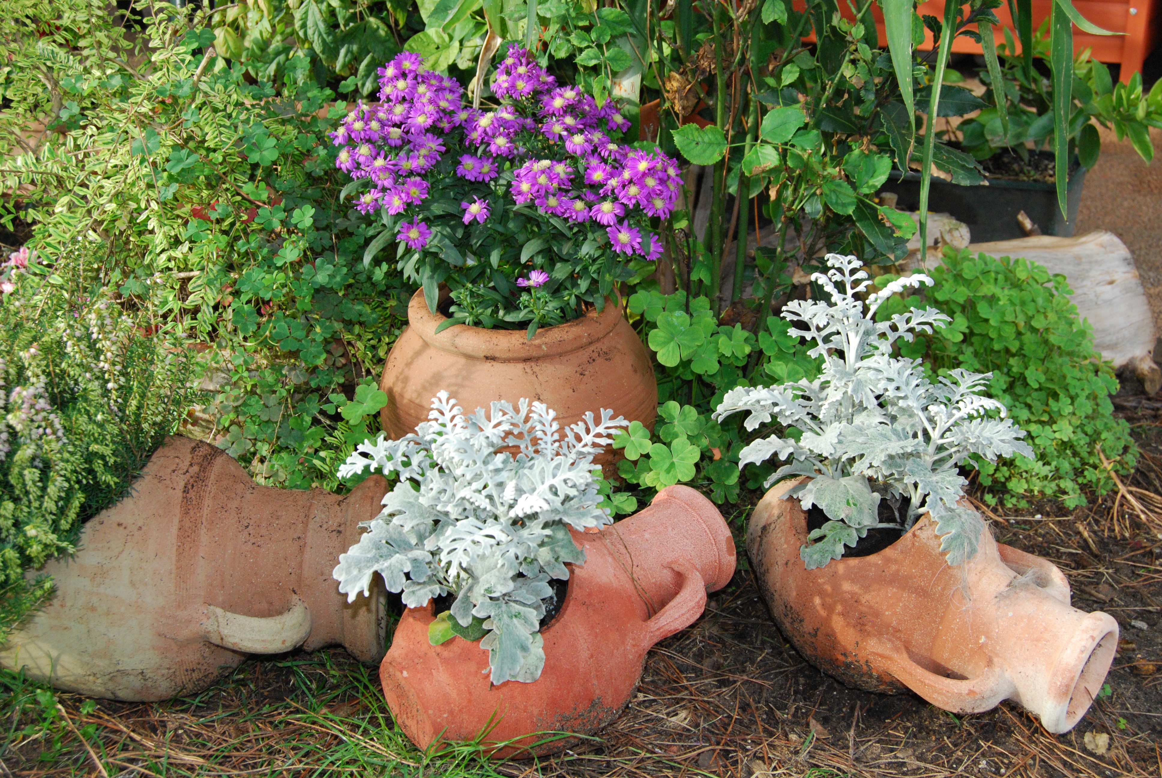 human body part, violet, vases, flower, nature, amphorae, day, outdoors, vulnerability, white, plant, green, flower Pot, one person, beauty in nature, growth, HD Wallpaper