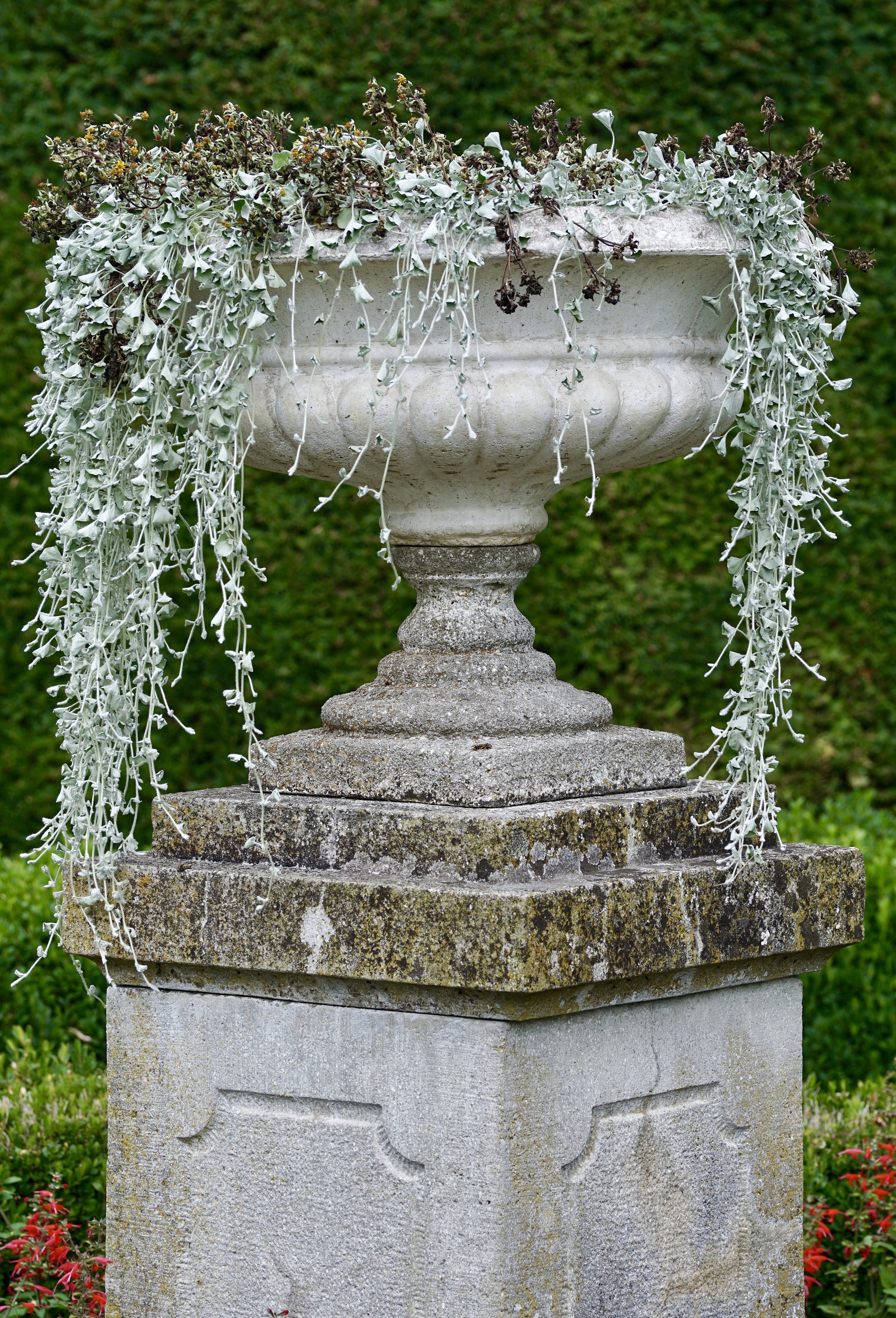 nature, 5K, pitcher - jug, container, architecture, decoration, tree, summer, stone material, green color, art and craft, italian, grass, plant, garden design, Phone HD Wallpaper